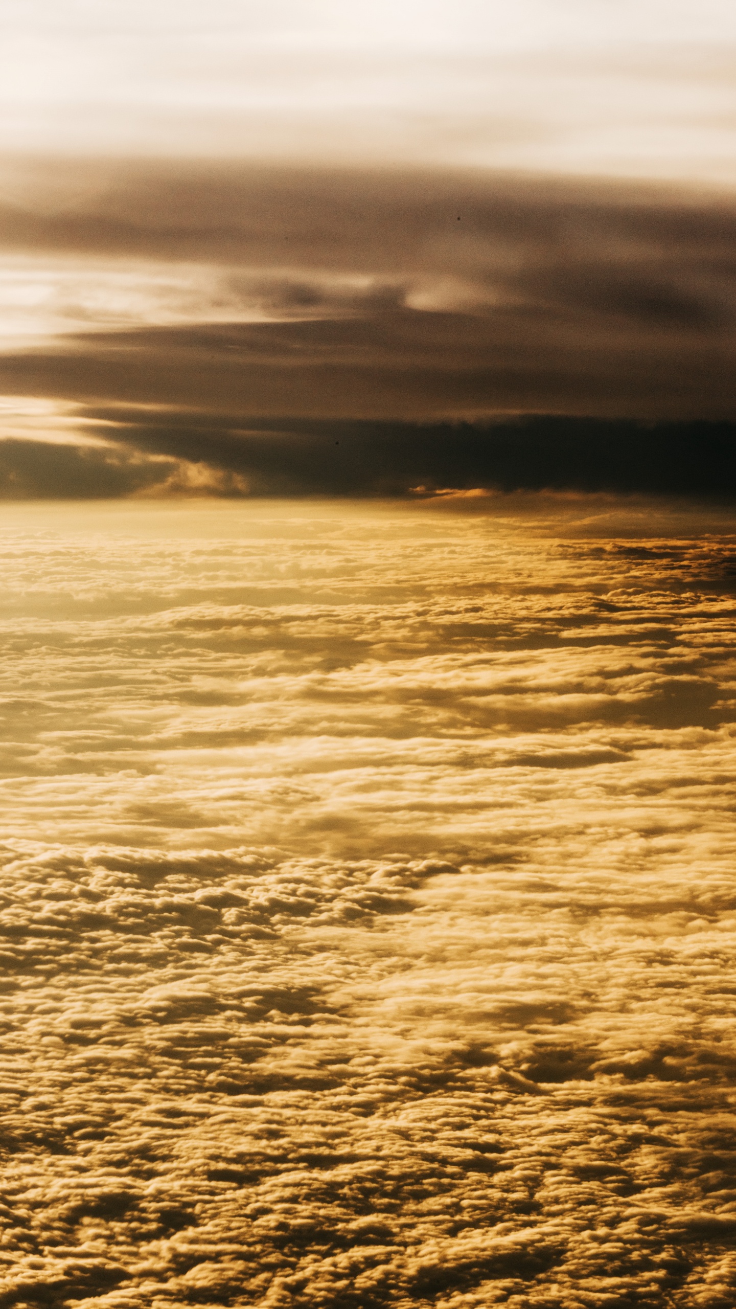 Обои горизонт, закат, вода, море, океан в разрешении 1440x2560