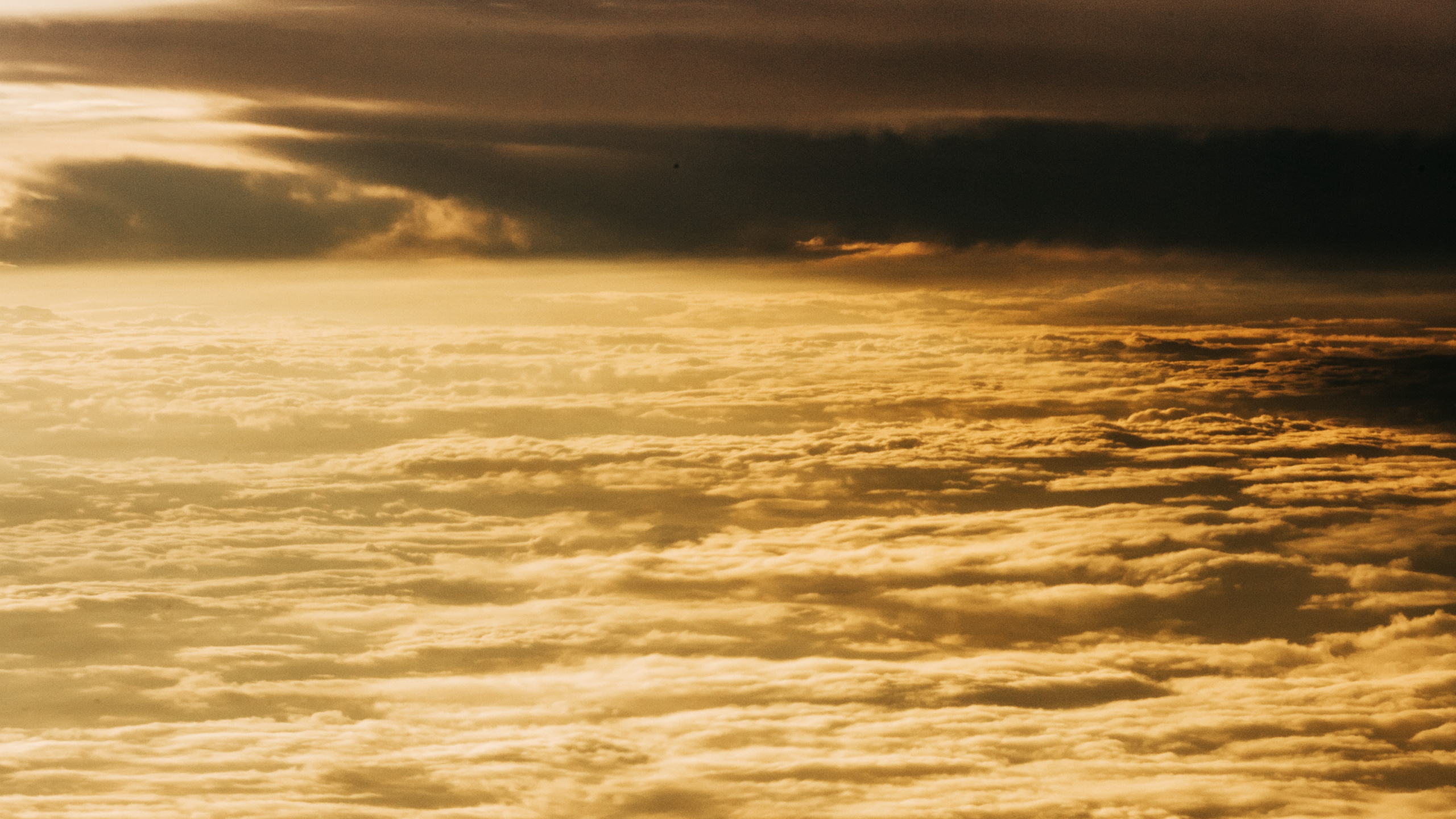 Обои горизонт, закат, вода, море, океан в разрешении 2560x1440