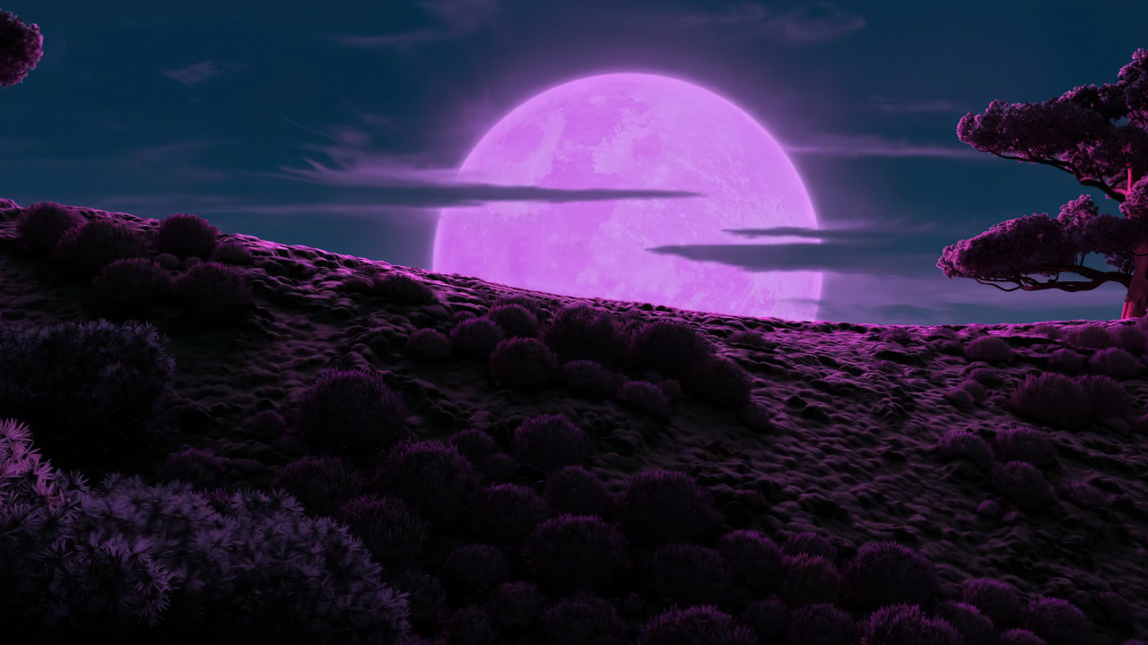 Обои Мастер Шифу, студия DreamWorks Animation, гигантская панда, атмосфера, вода в разрешении 1280x720