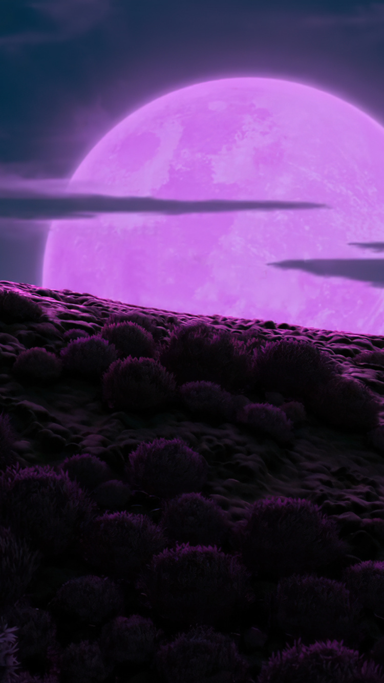 Обои Мастер Шифу, студия DreamWorks Animation, гигантская панда, атмосфера, вода в разрешении 750x1334