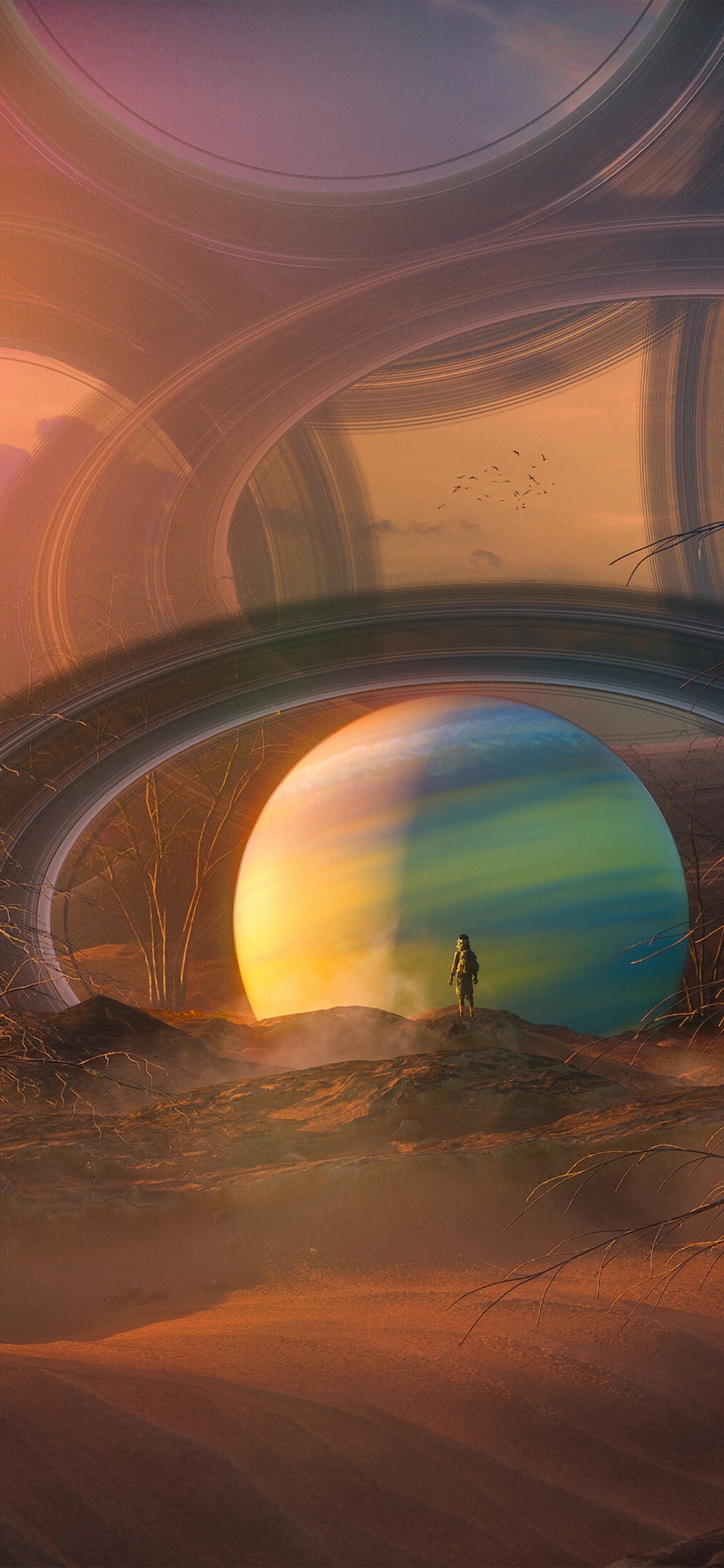 Обои цифровое искусство, атмосфера, круг, арт, орнамент в разрешении 1242x2688