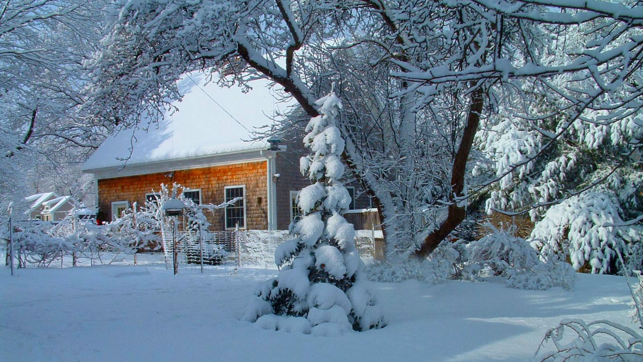 Обои пейзаж, снег, зима, мороз, родина в разрешении 1280x720