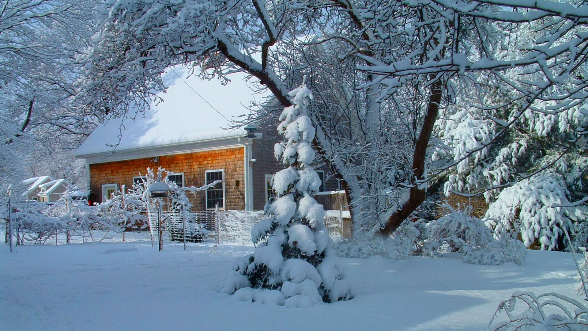 Обои пейзаж, снег, зима, мороз, родина в разрешении 1920x1080