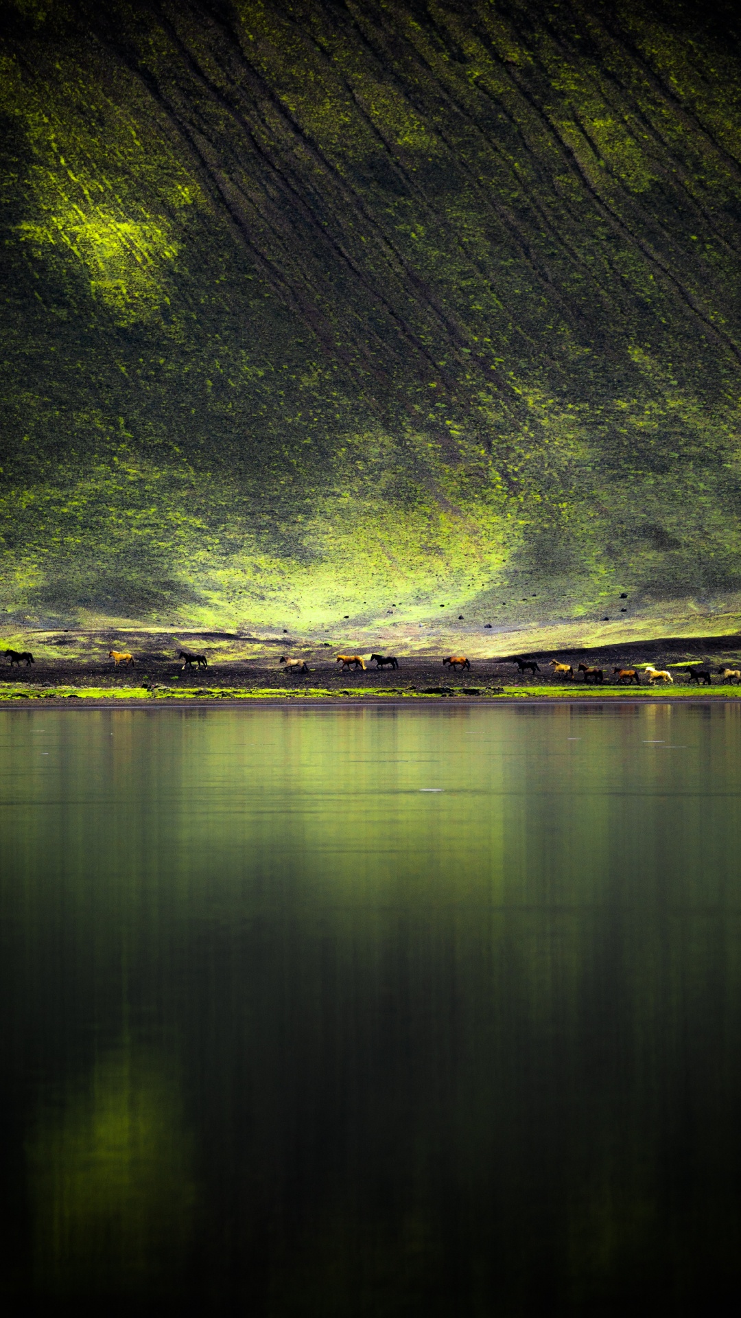 Обои зеленый, природа, вода, отражение, свет в разрешении 1080x1920