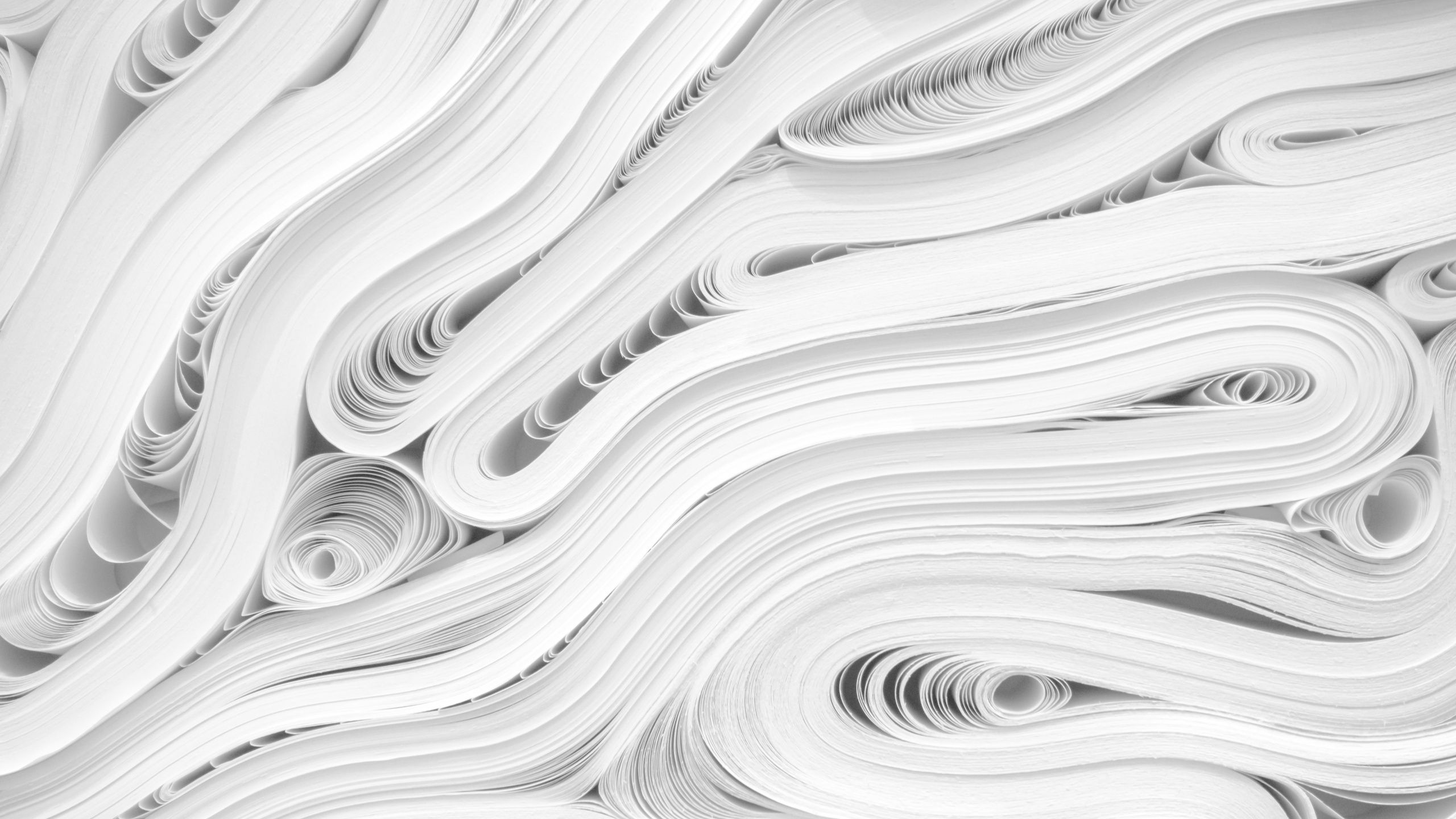 Обои белые, линия, узор, дизайн, монохромный в разрешении 2560x1440