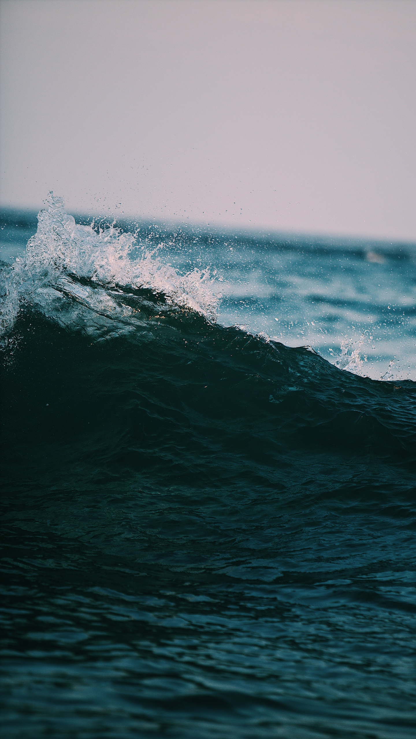 Обои океан, море, ветровая волна, волна, вода в разрешении 1440x2560