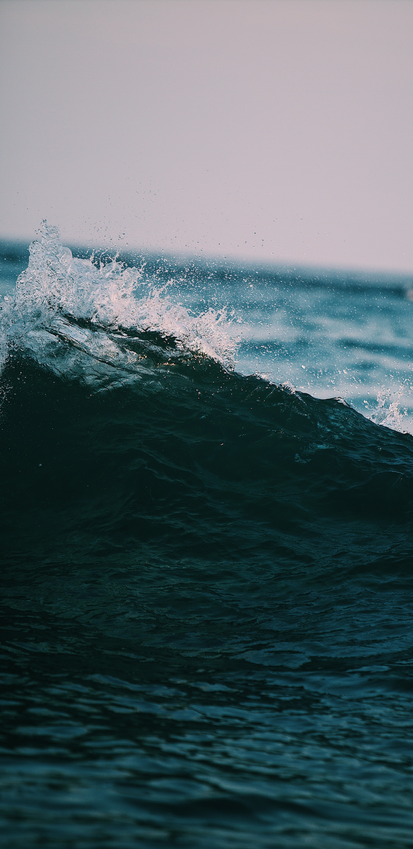 Обои океан, море, ветровая волна, волна, вода в разрешении 1440x2960