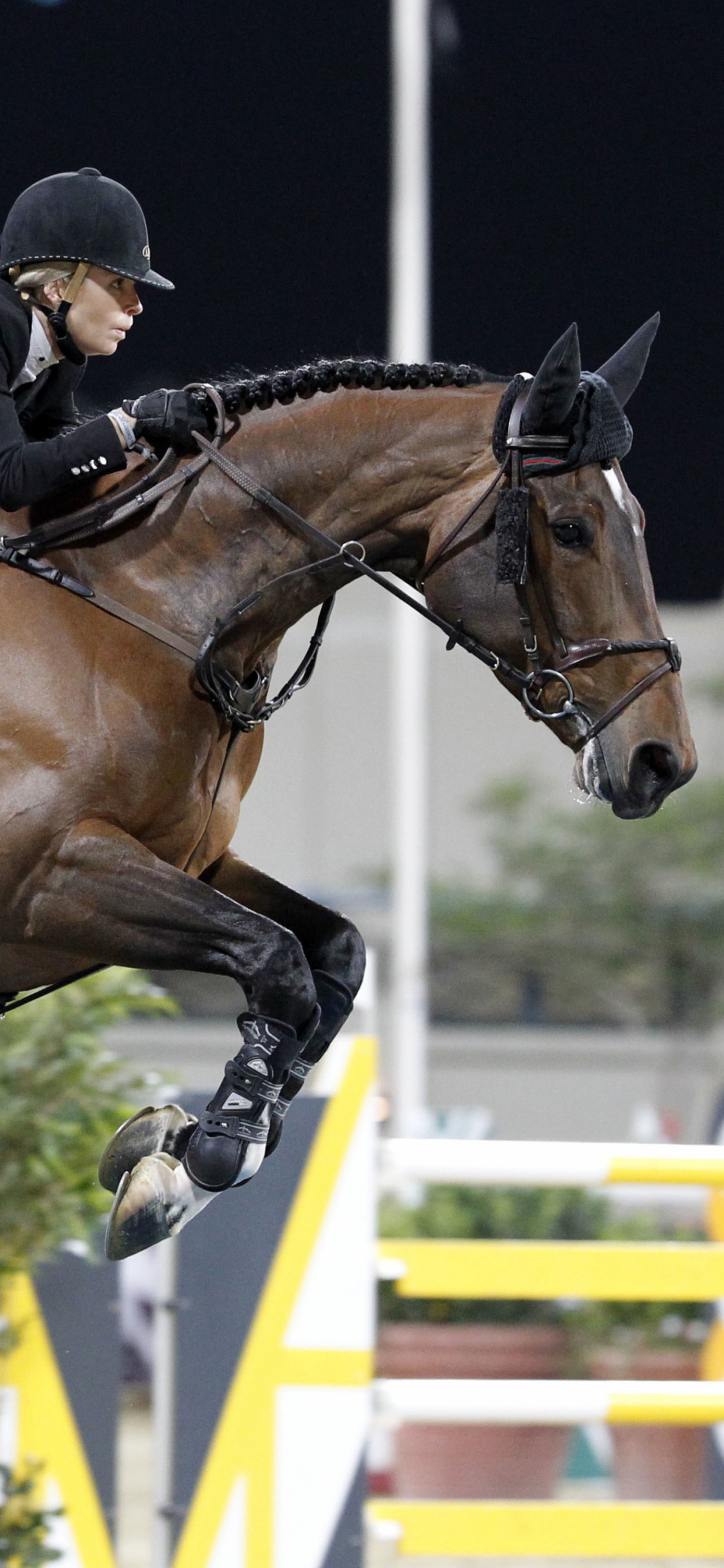 Обои конкур, животных спорт, наездник, английский езда, жеребец в разрешении 1125x2436