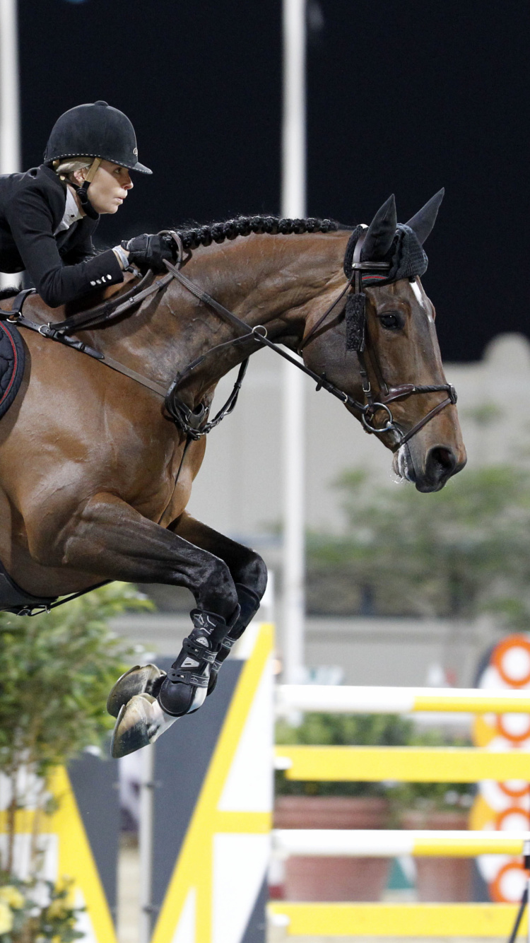 Обои конкур, животных спорт, наездник, английский езда, жеребец в разрешении 750x1334