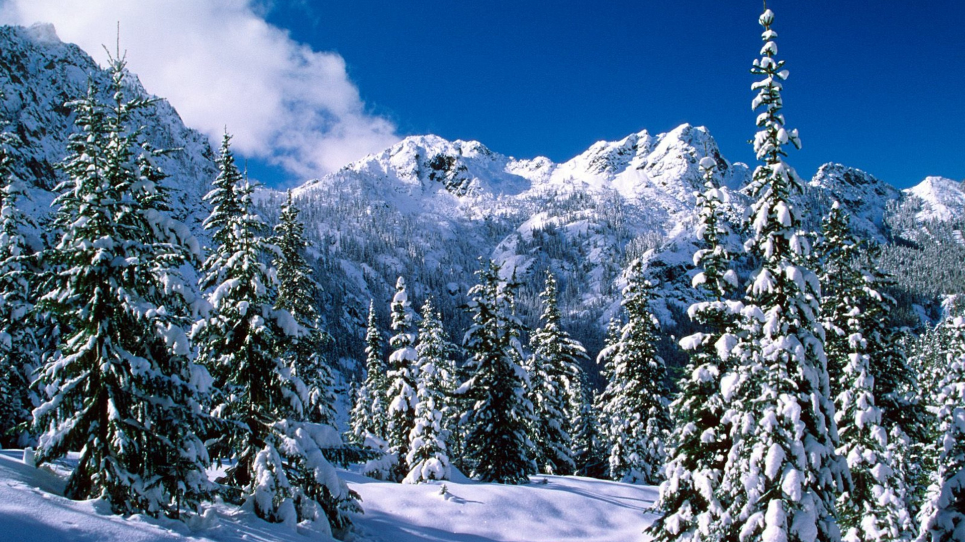 Обои снег, зима, дерево, дикая местность, горный хребет в разрешении 1920x1080