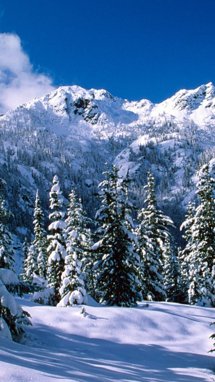 Обои снег, зима, дерево, дикая местность, горный хребет в разрешении 750x1334