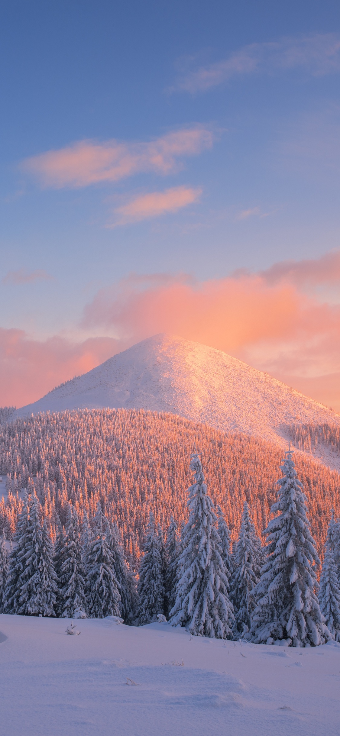 Обои снег, зима, дерево, замораживание, гора в разрешении 1125x2436