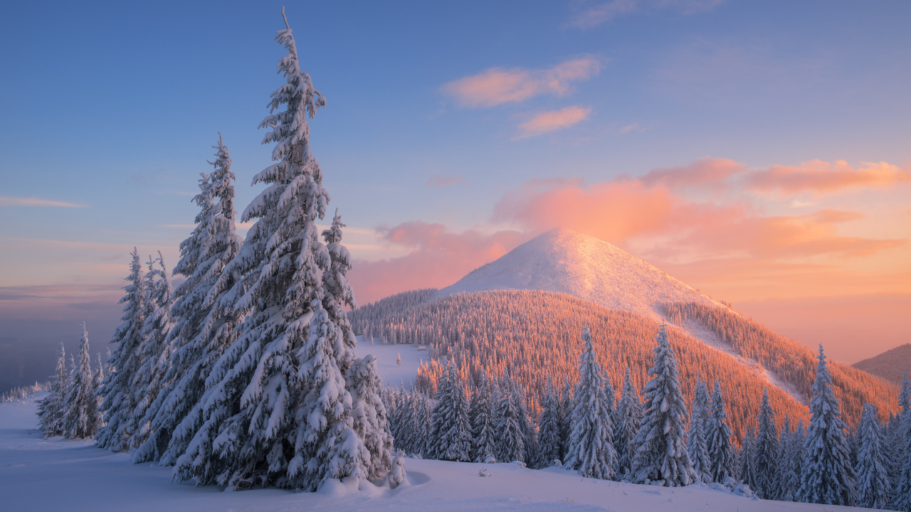 Обои снег, зима, дерево, замораживание, гора в разрешении 1280x720