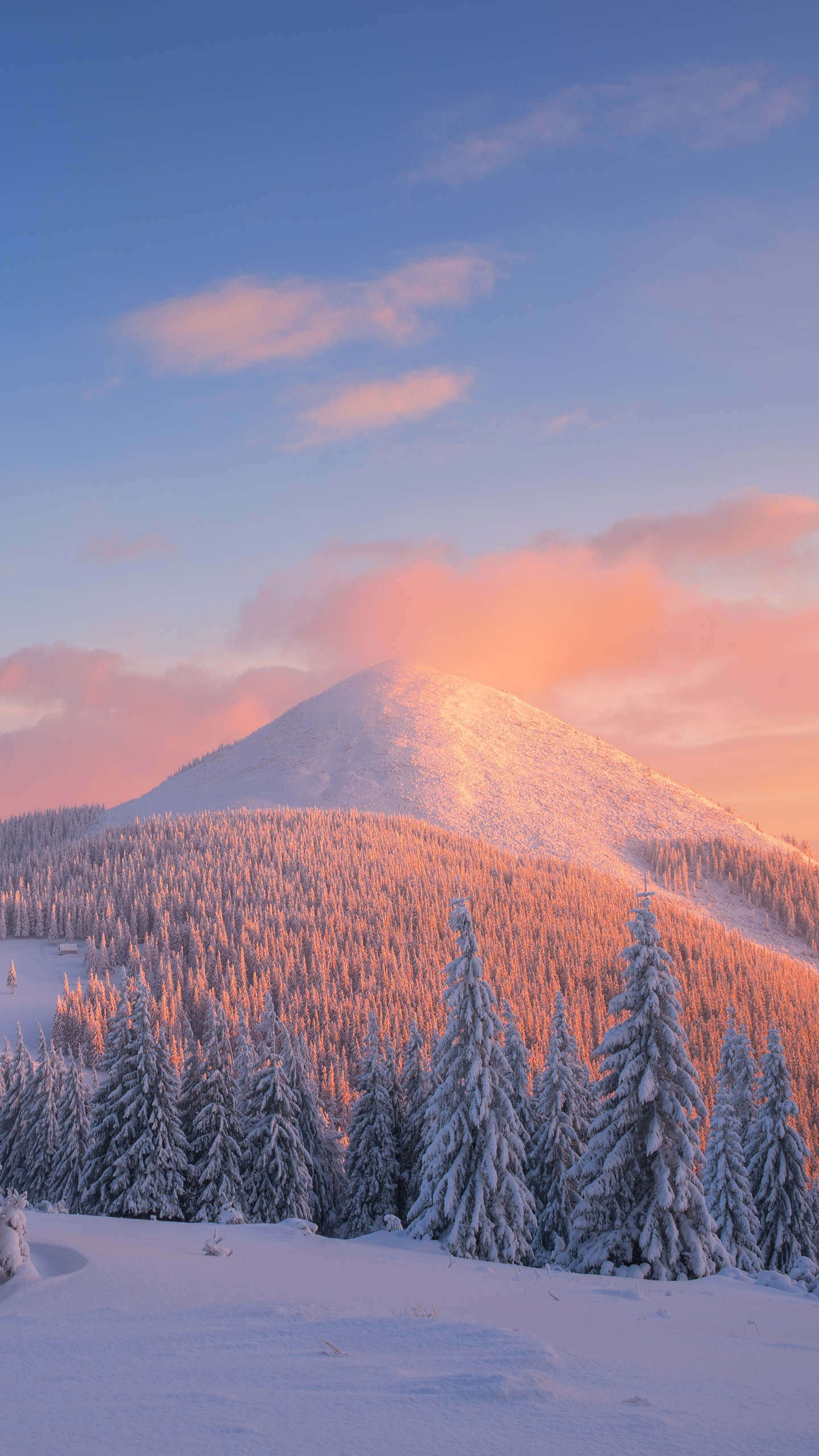 Обои снег, зима, дерево, замораживание, гора в разрешении 1440x2560