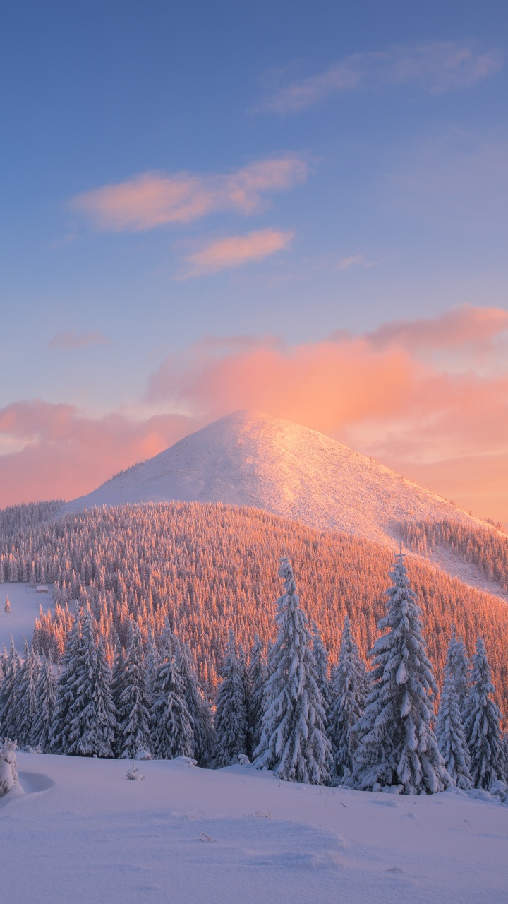 Обои снег, зима, дерево, замораживание, гора в разрешении 720x1280