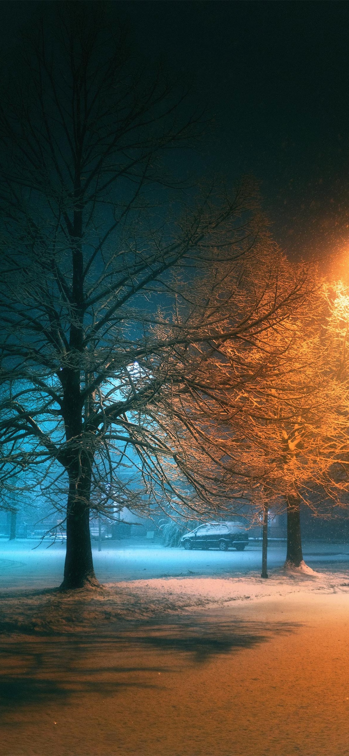 Обои природа, освещение, атмосфера, растение, природный ландшафт в разрешении 1125x2436