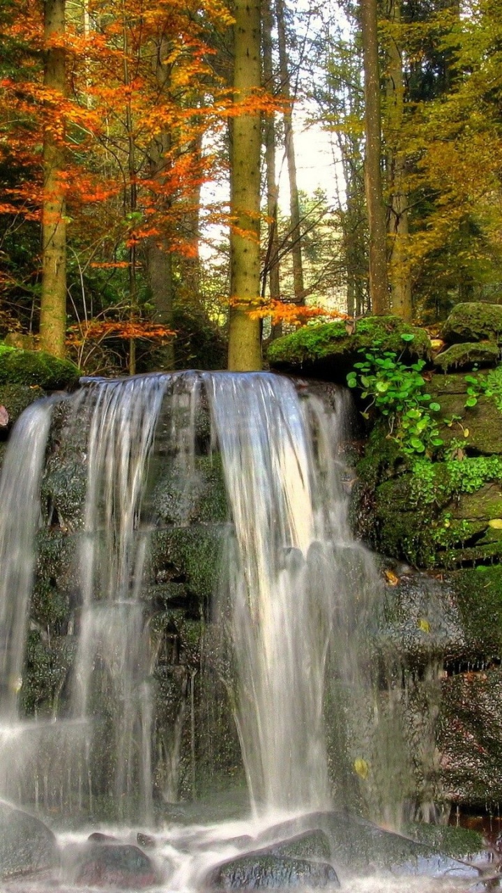 Обои водопад, природа, водоем, вода, гидроресурсы в разрешении 720x1280