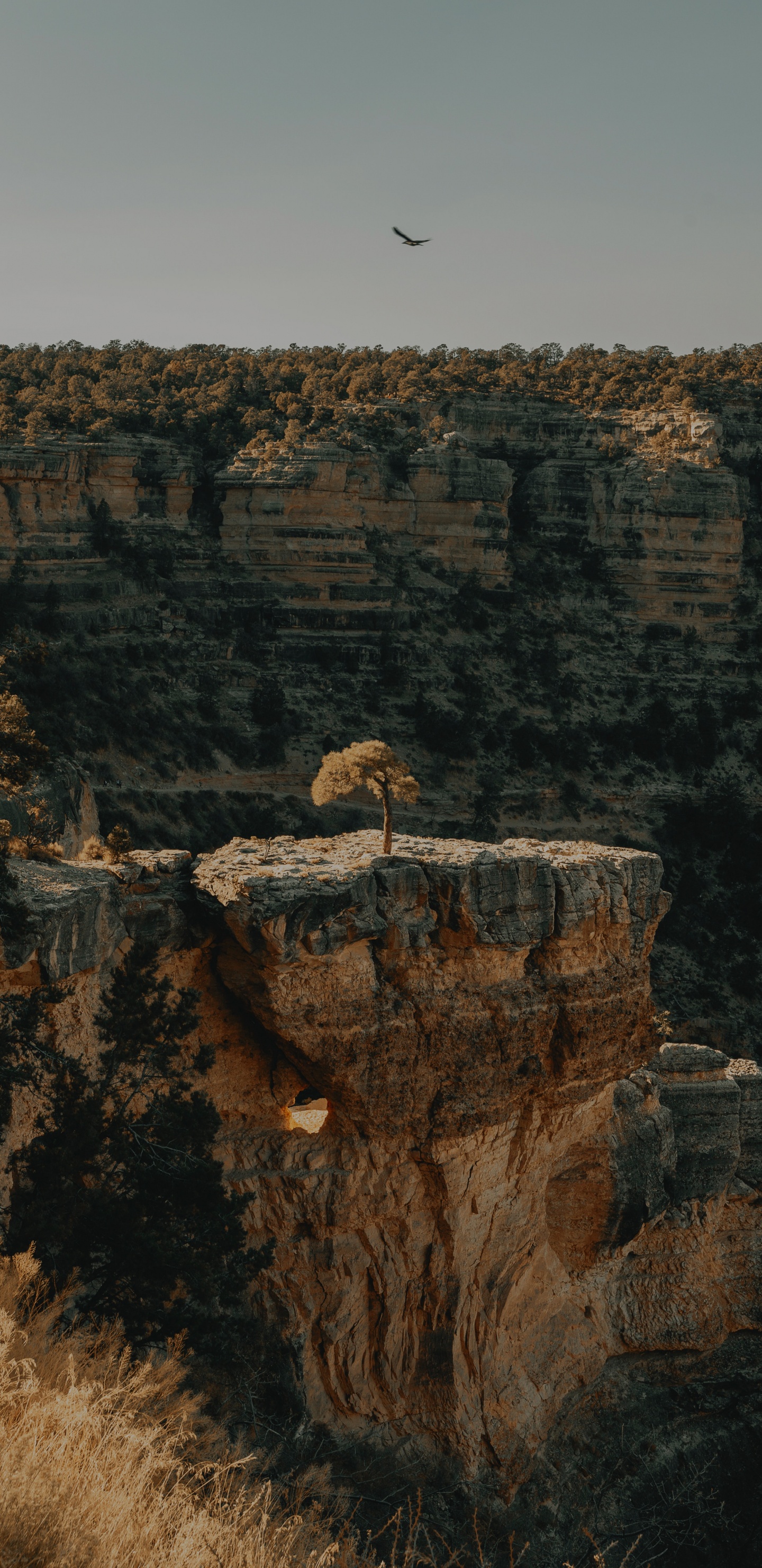 Обои Светлый Ангел Trail, формирование, рок, геология, ошибка в разрешении 1440x2960