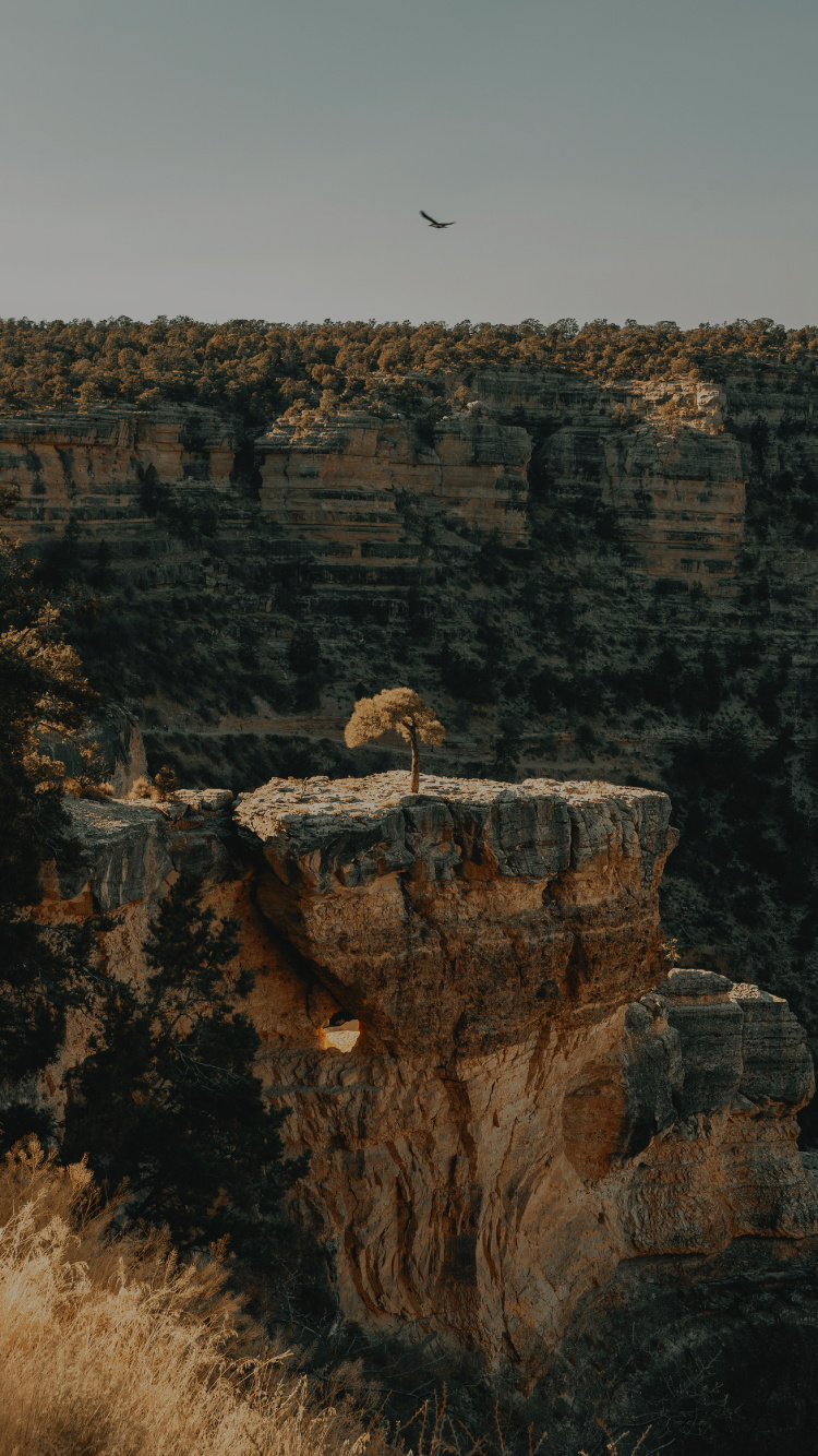 Обои Светлый Ангел Trail, формирование, рок, геология, ошибка в разрешении 750x1334