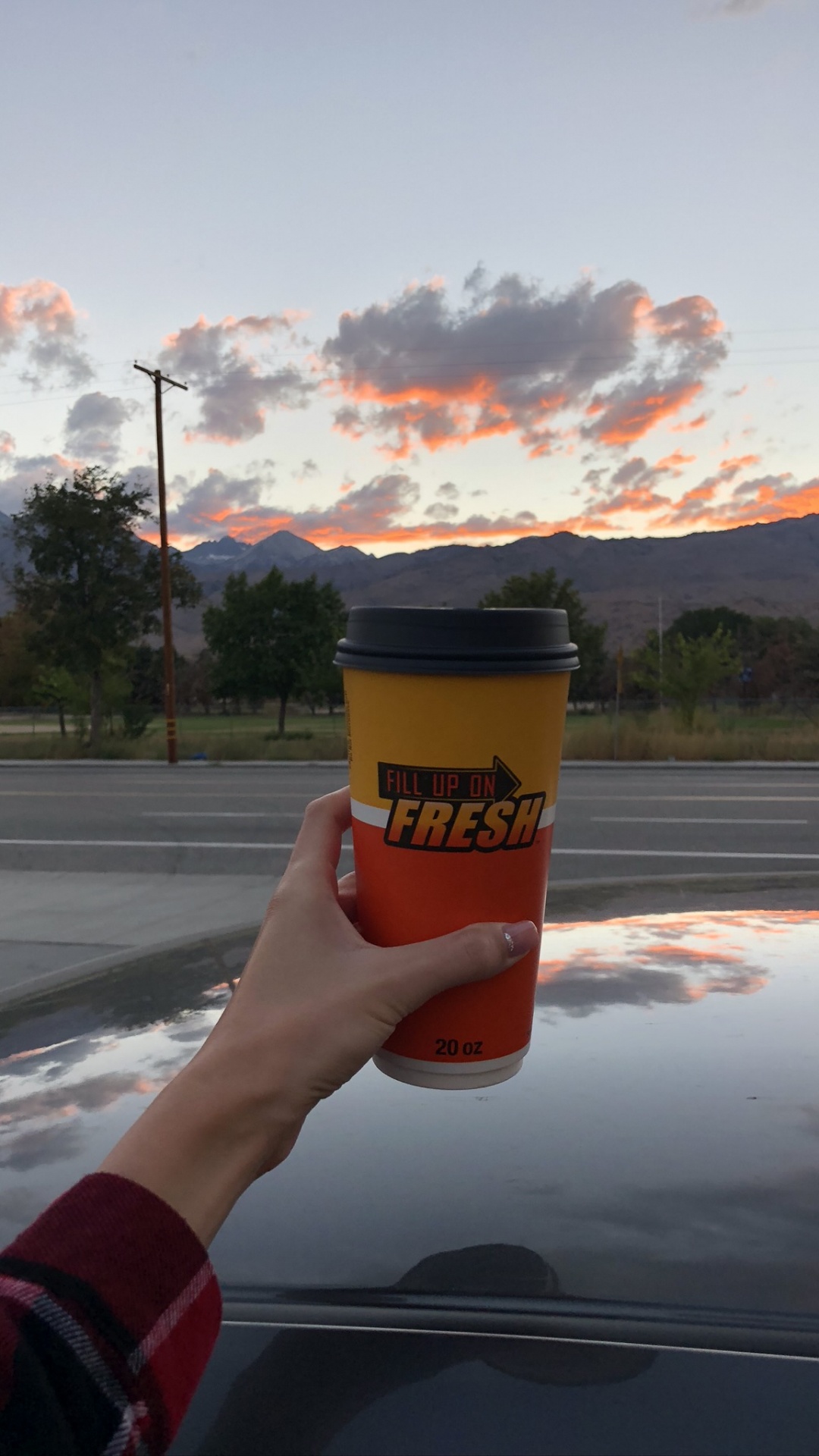 Обои Король, семейный автомобиль, дорожное путешествие, лого, кучевое облако в разрешении 1080x1920