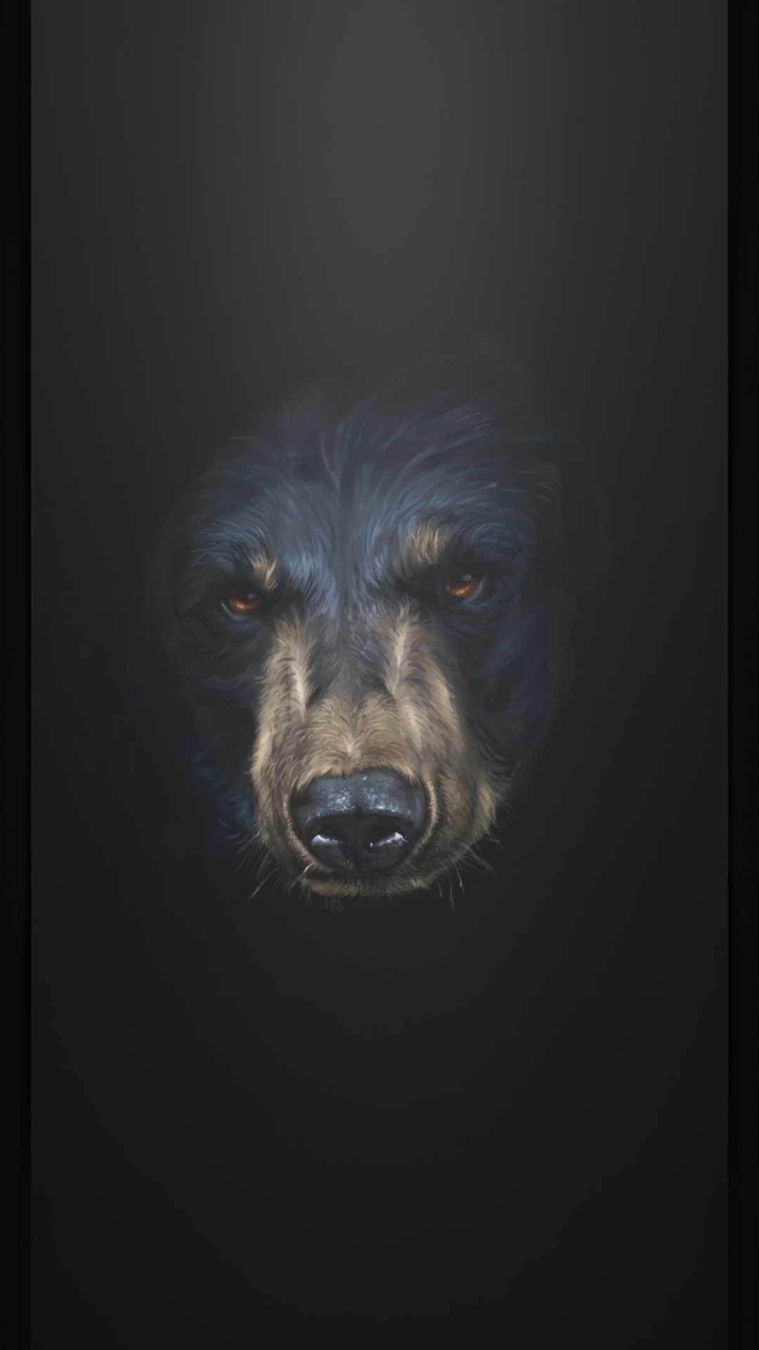 Обои морда, пес, собака породы, бакенбарды, собака компаньон в разрешении 1080x1920