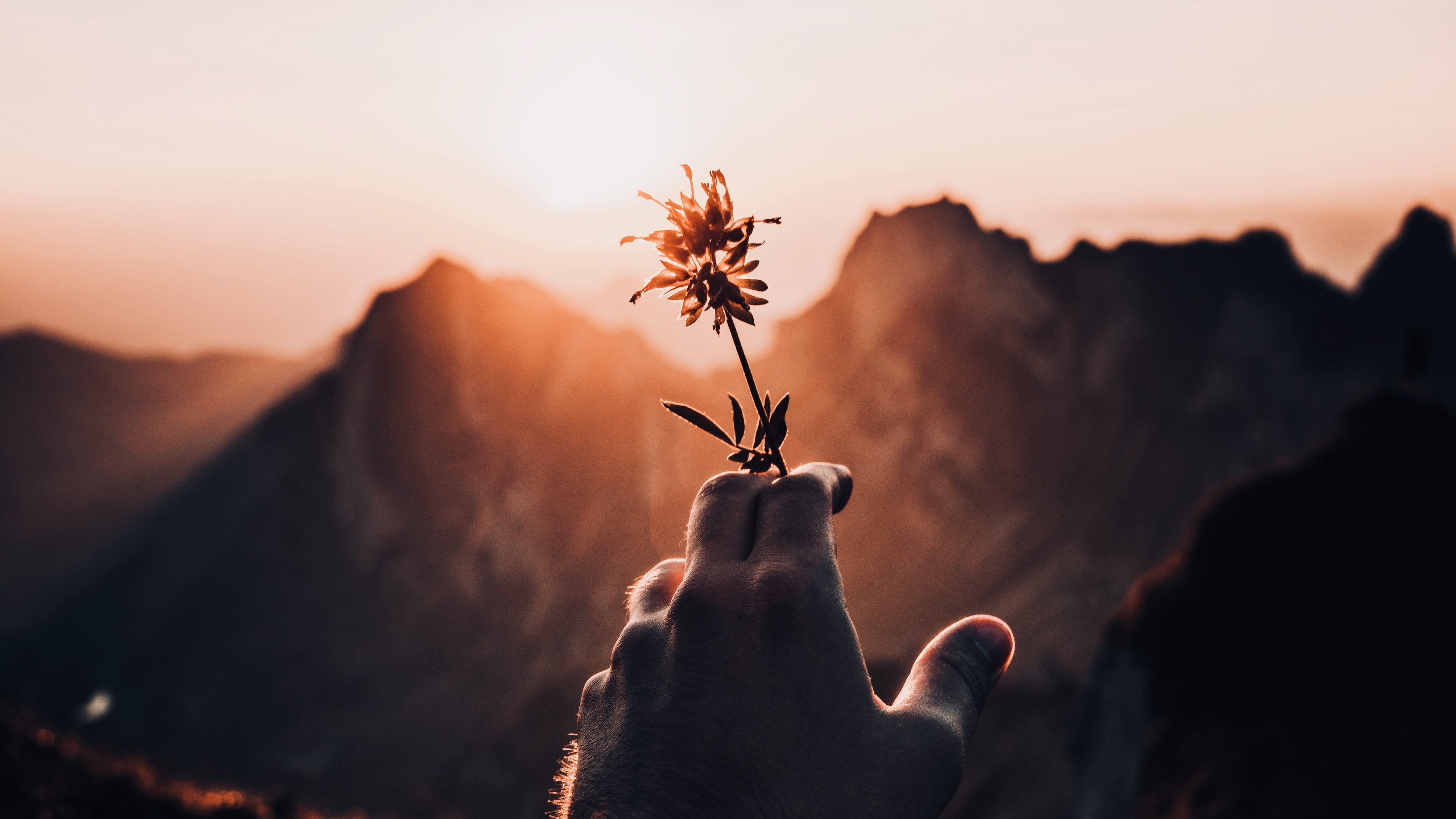 Обои дерево, облако, солнечный свет, небо, Лирика в разрешении 3840x2160