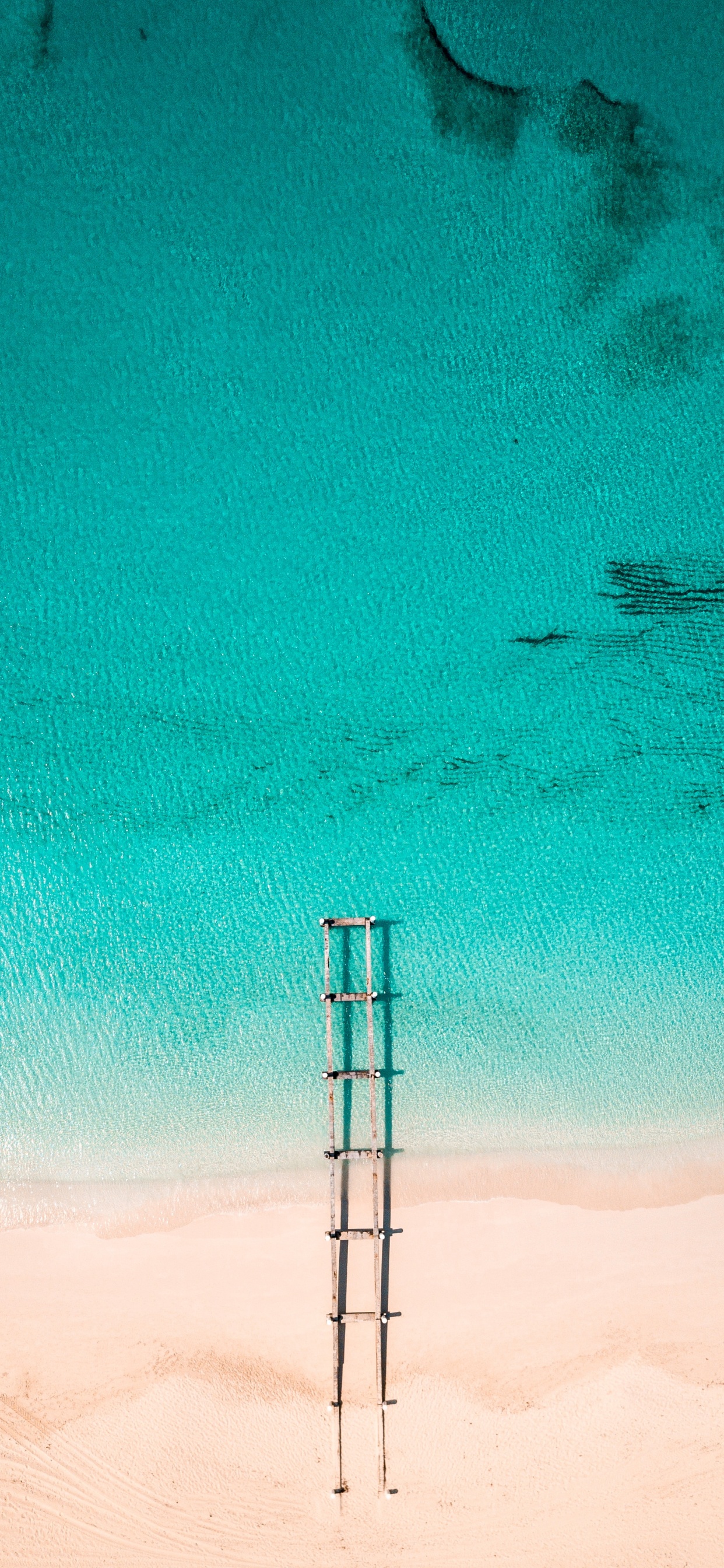 Обои синий, зеленый, бирюза, Аква, лазурный в разрешении 1242x2688