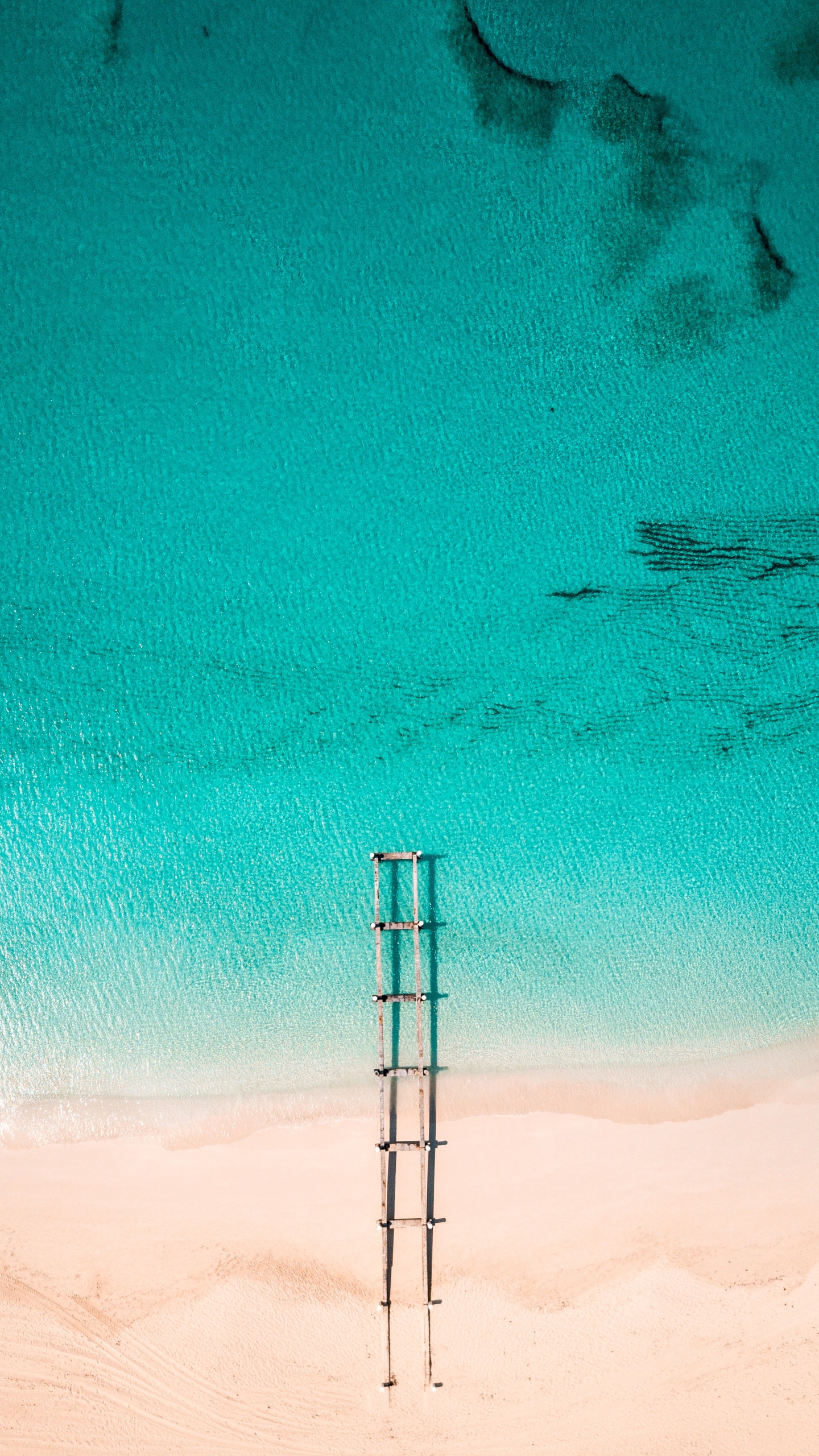 Обои синий, зеленый, бирюза, Аква, лазурный в разрешении 1440x2560