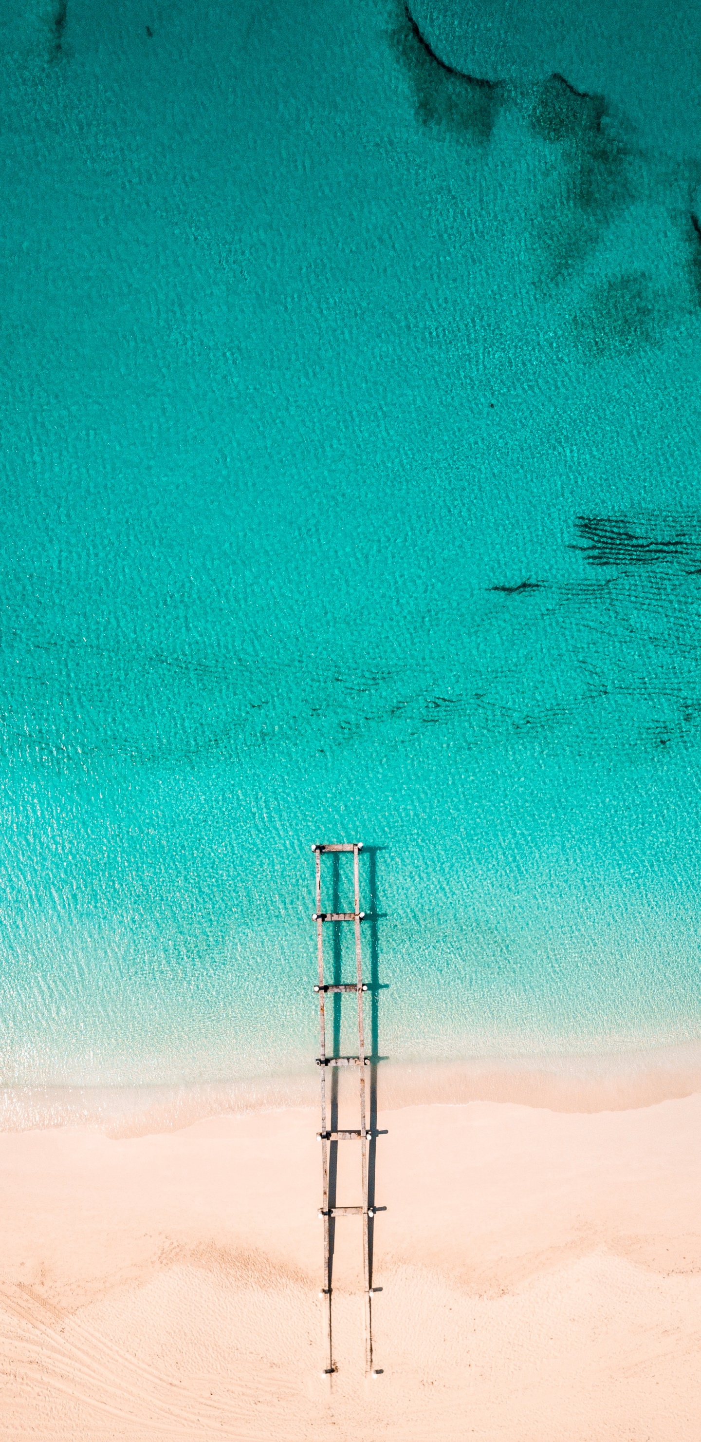 Обои синий, зеленый, бирюза, Аква, лазурный в разрешении 1440x2960