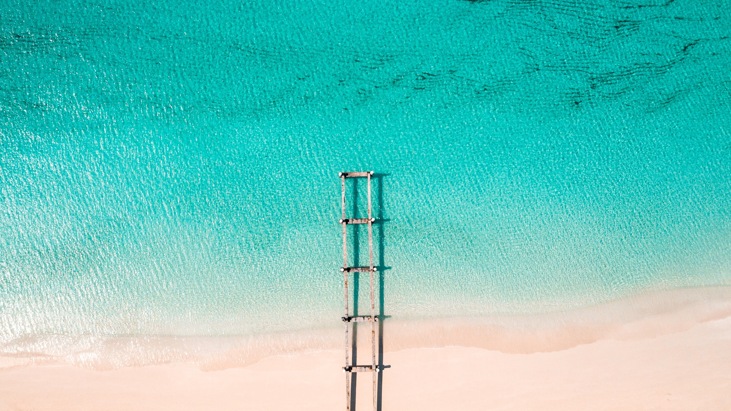 Обои синий, зеленый, бирюза, Аква, лазурный в разрешении 2560x1440