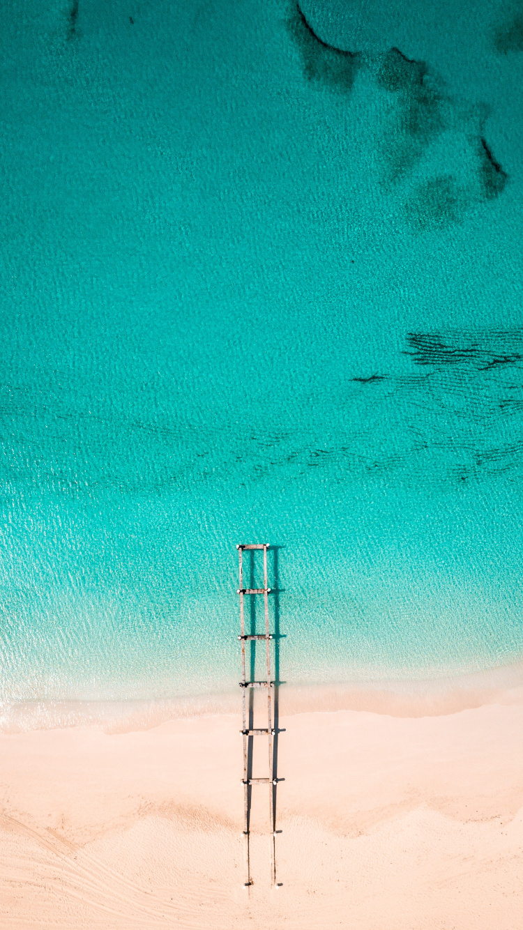 Обои синий, зеленый, бирюза, Аква, лазурный в разрешении 750x1334