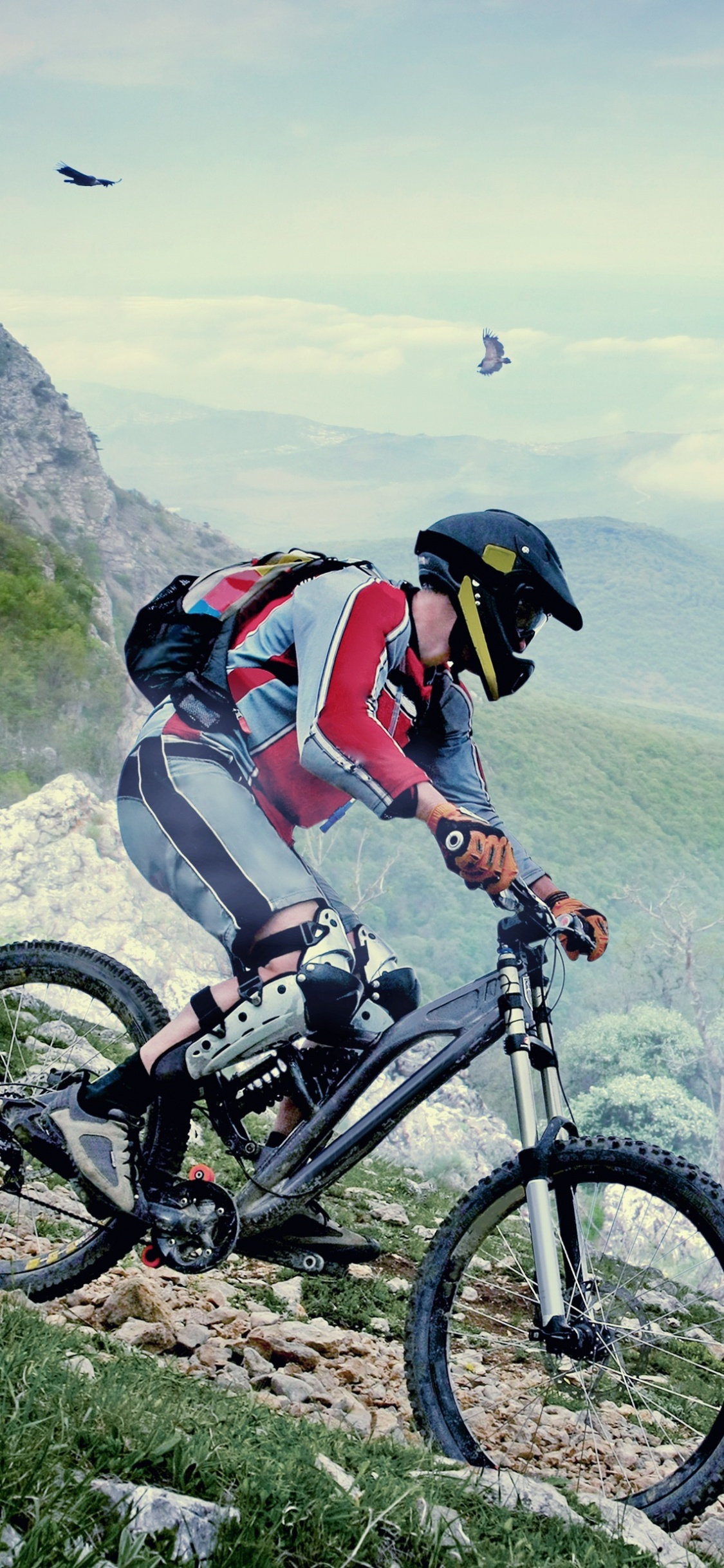 Обои горный велосипед, велосипед, велосипедный спорт, катание на горных велосипедах, горные велосипеды в разрешении 1125x2436
