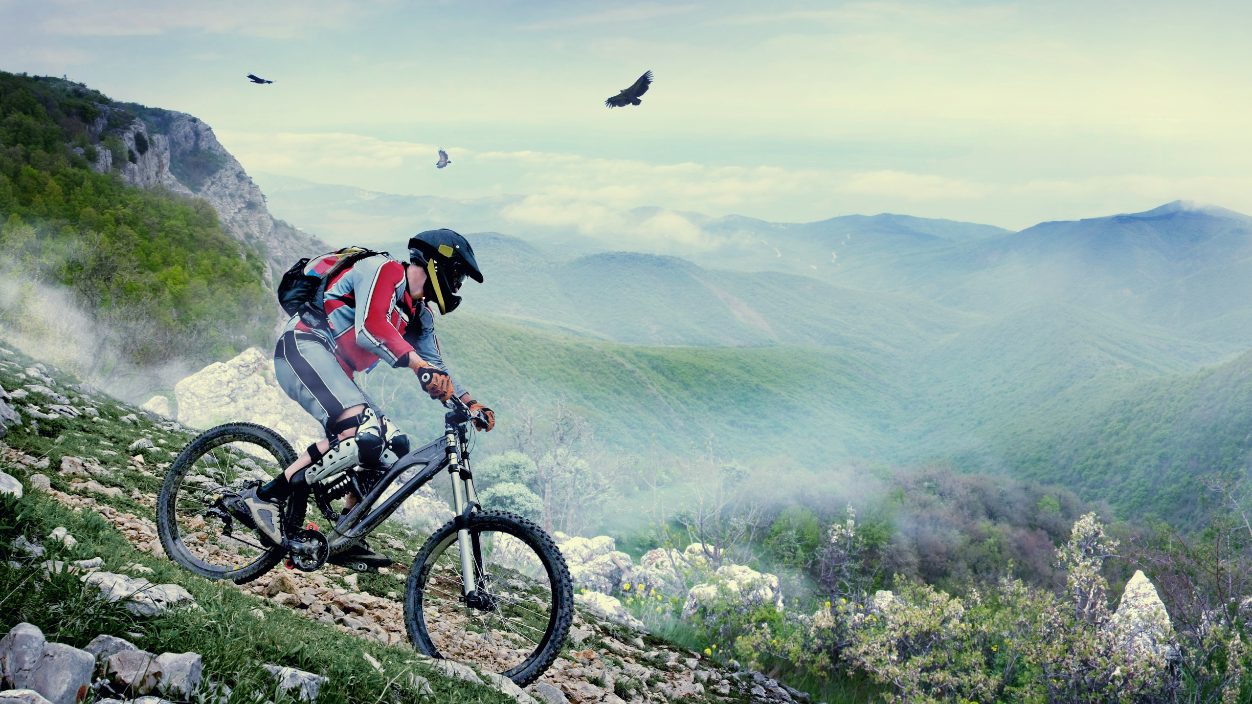 Обои горный велосипед, велосипед, велосипедный спорт, катание на горных велосипедах, горные велосипеды в разрешении 2560x1440