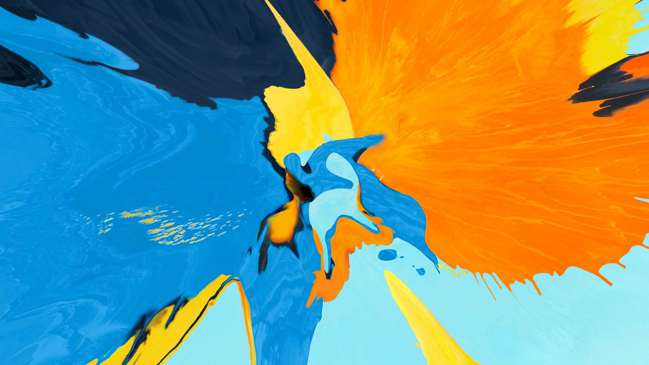 Обои айпад, яблоко, растение, человеческое тело, Люди в природе в разрешении 2560x1440