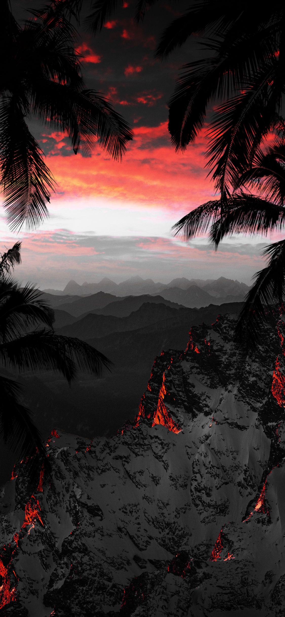 Обои природа, облако, атмосфера, мир, растение в разрешении 1125x2436