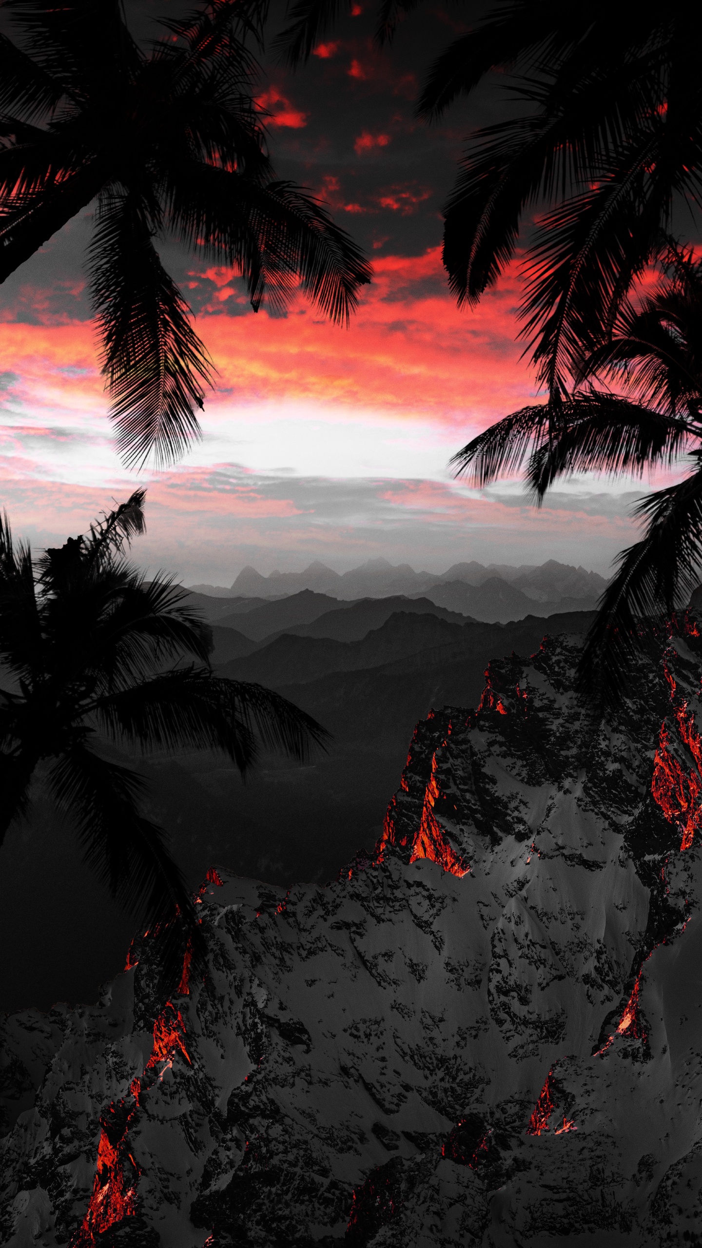 Обои природа, облако, атмосфера, мир, растение в разрешении 1440x2560