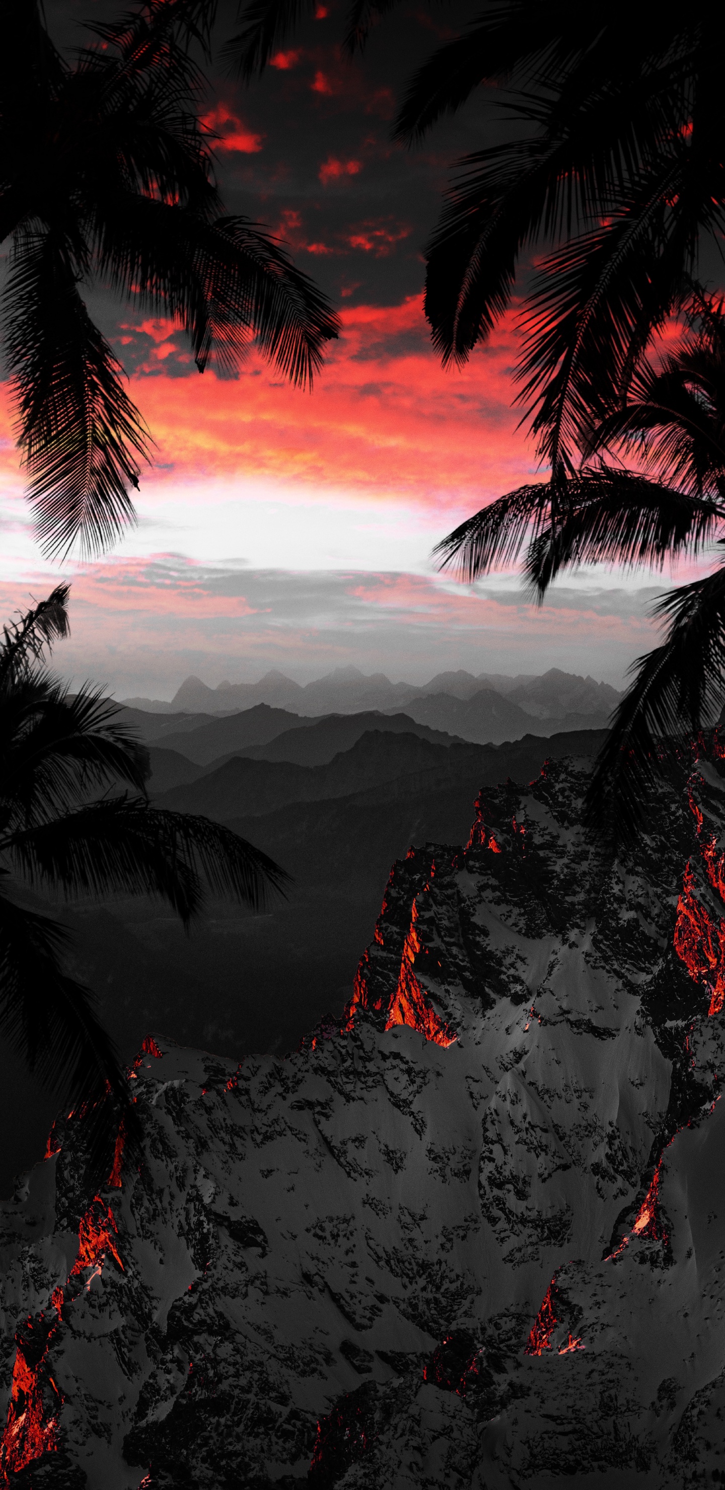 Обои природа, облако, атмосфера, мир, растение в разрешении 1440x2960