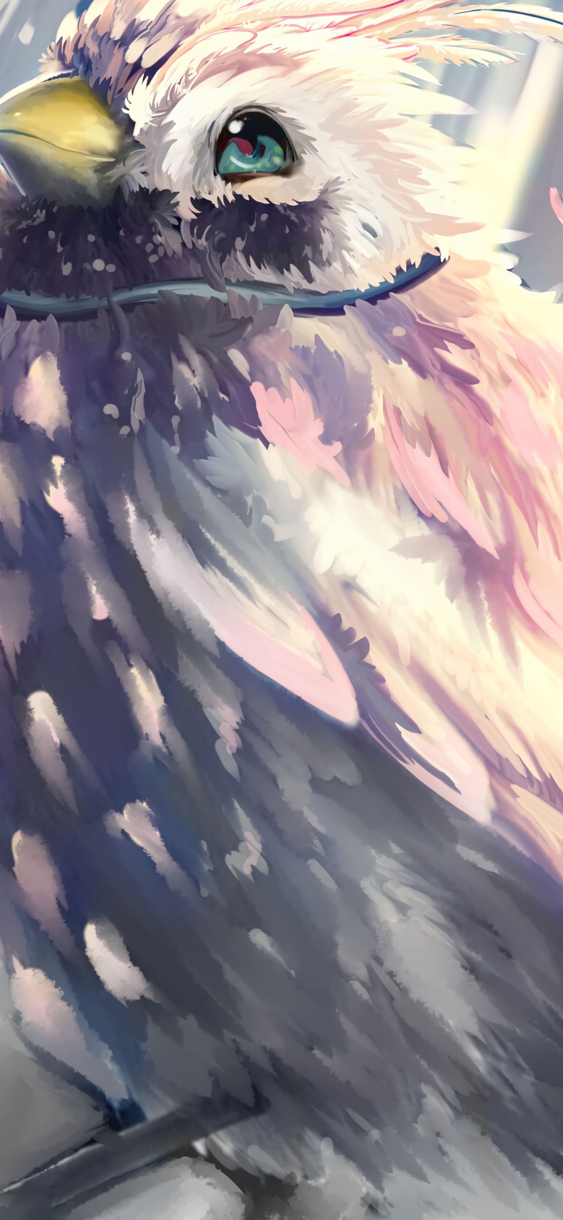 Обои птица, Фило, крыло, иллюстрация, Восхода щит Героя в разрешении 1125x2436