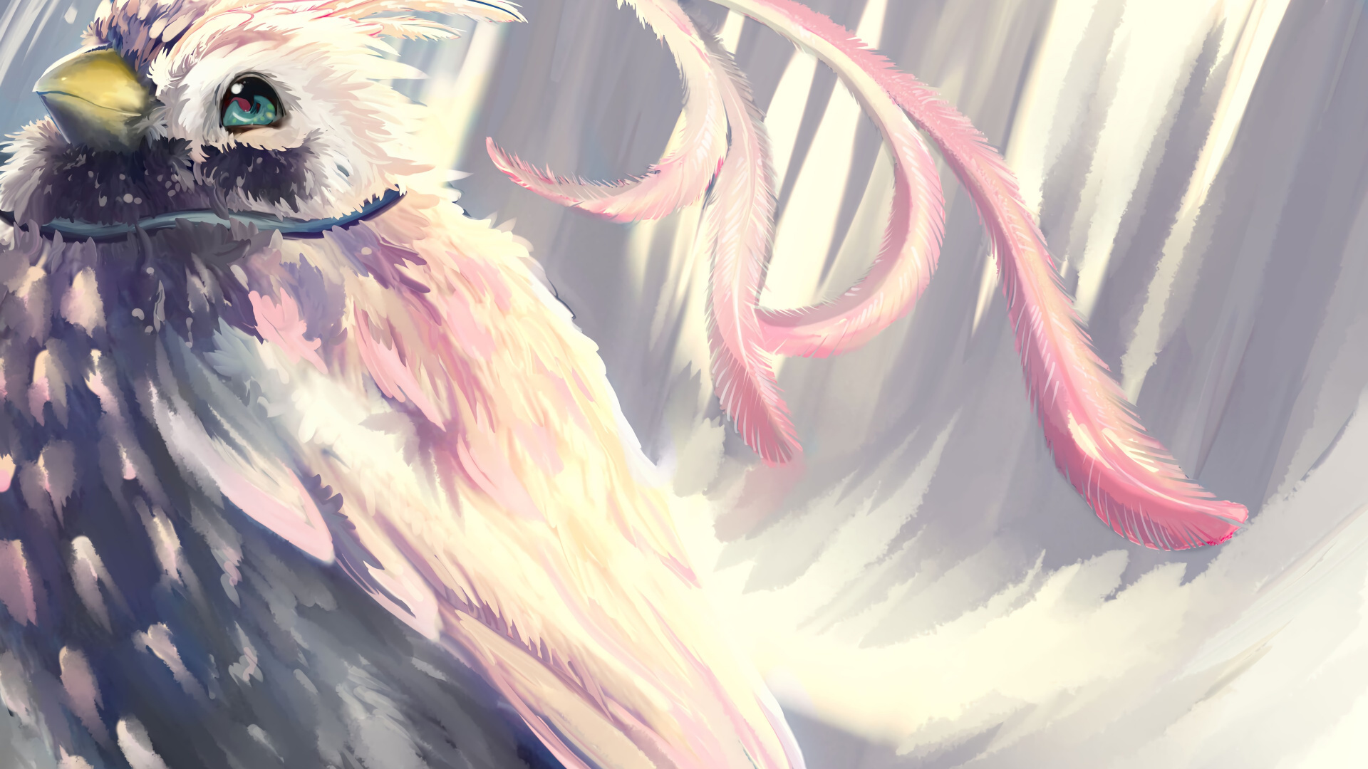 Обои птица, Фило, крыло, иллюстрация, Восхода щит Героя в разрешении 1920x1080