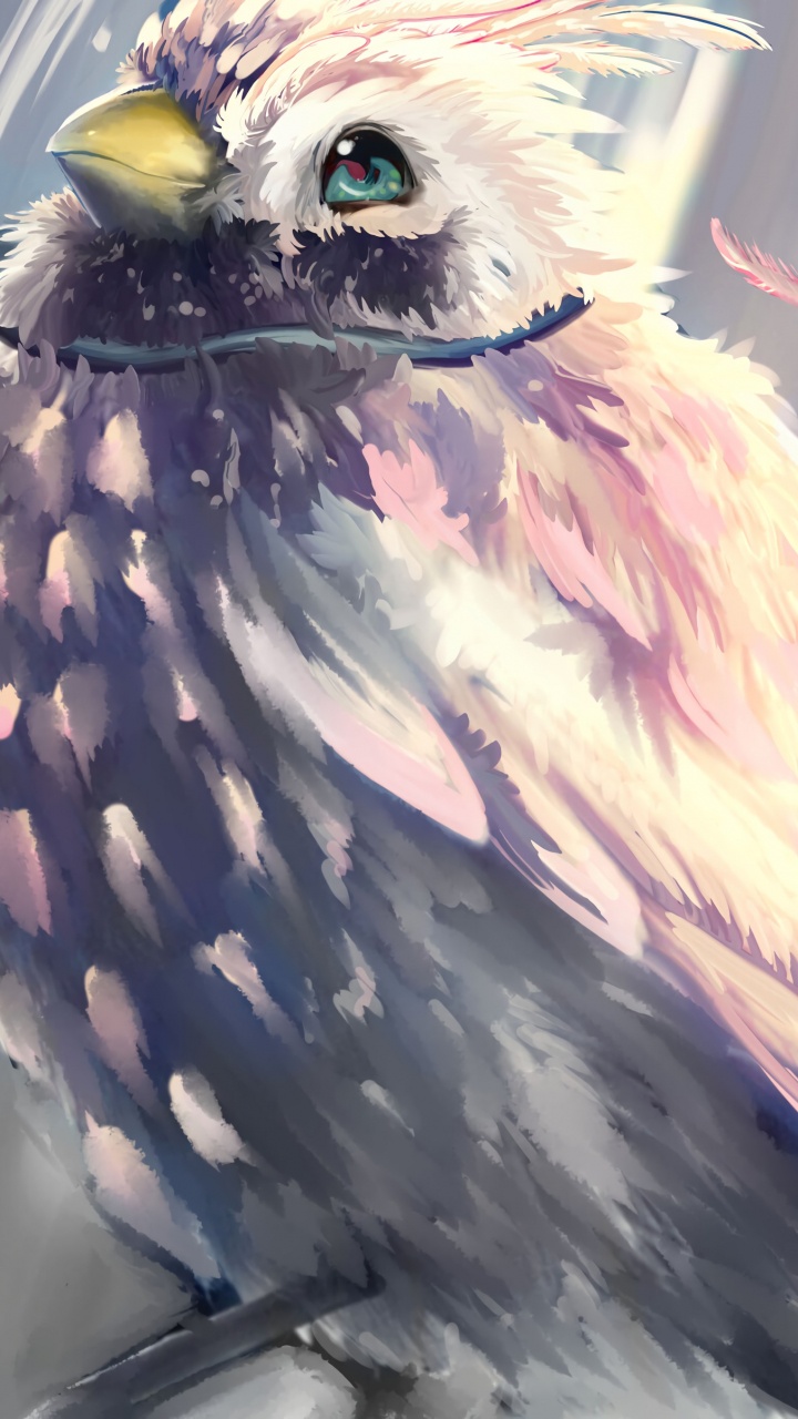 Обои птица, Фило, крыло, иллюстрация, Восхода щит Героя в разрешении 720x1280