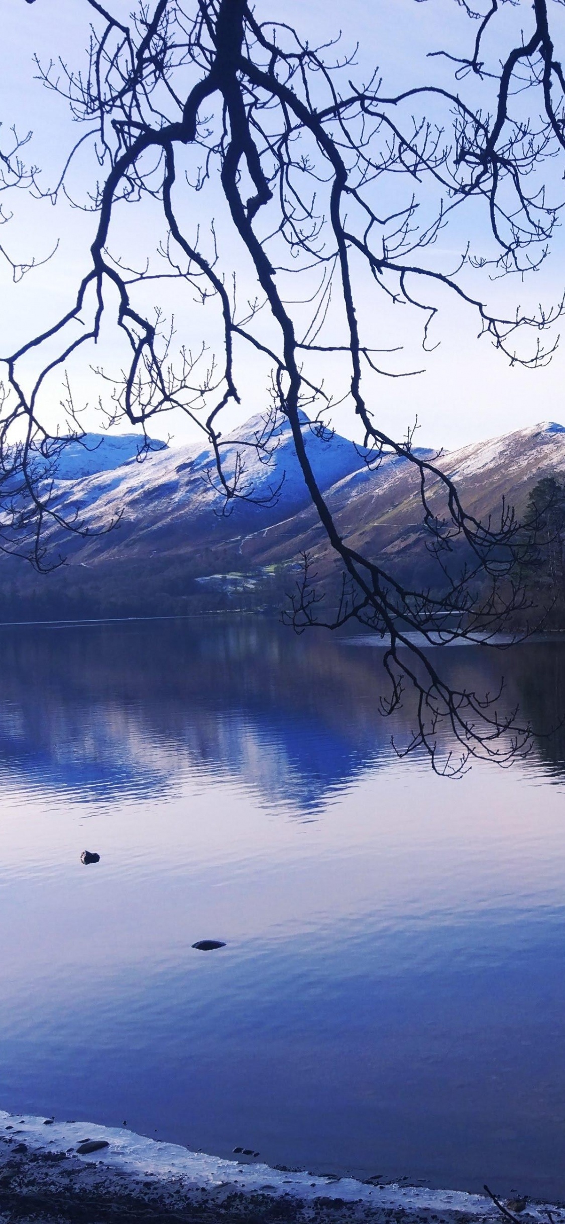 Обои отражение, водоем, природа, природный ландшафт, вода в разрешении 1125x2436