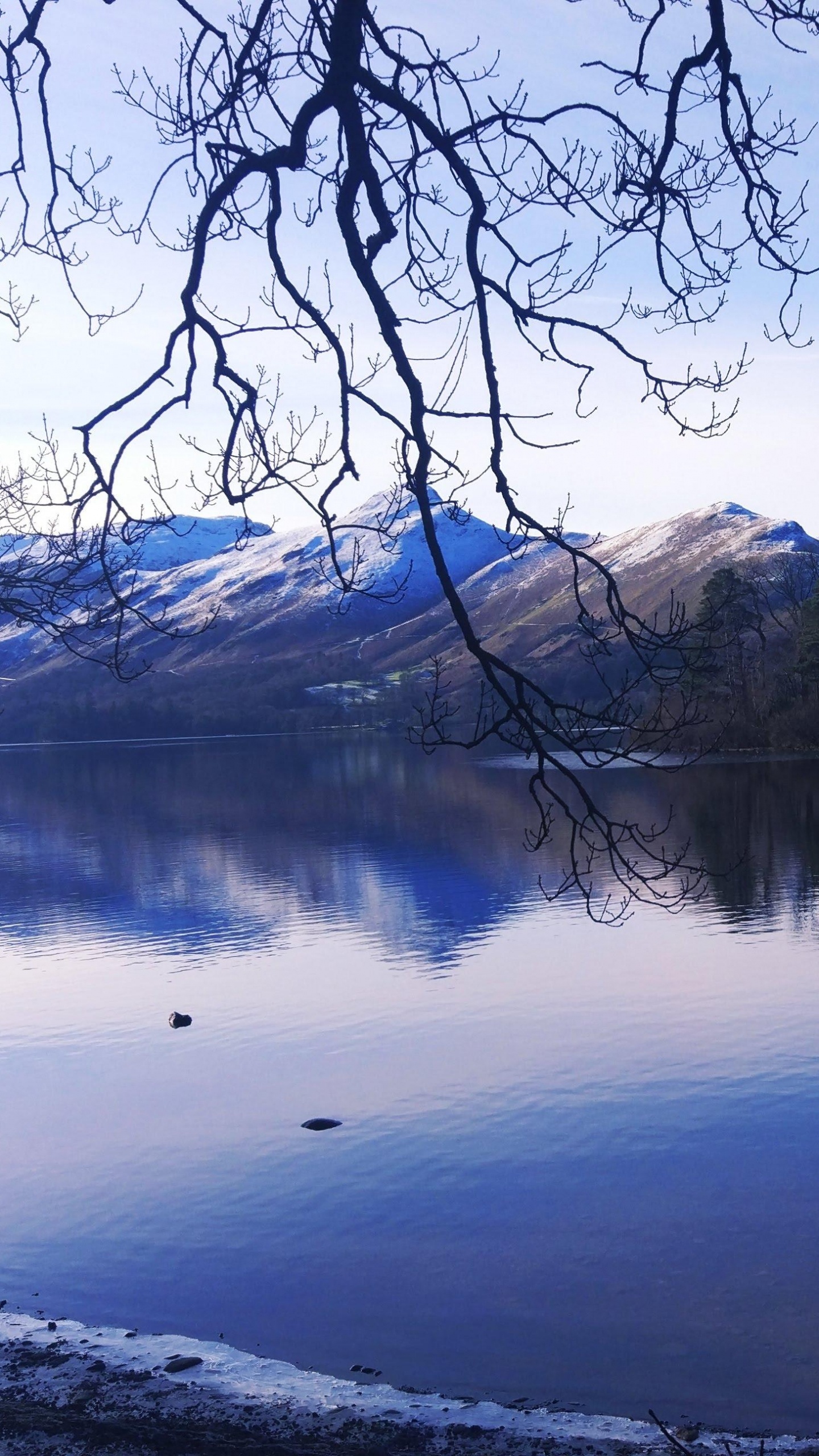 Обои отражение, водоем, природа, природный ландшафт, вода в разрешении 1440x2560