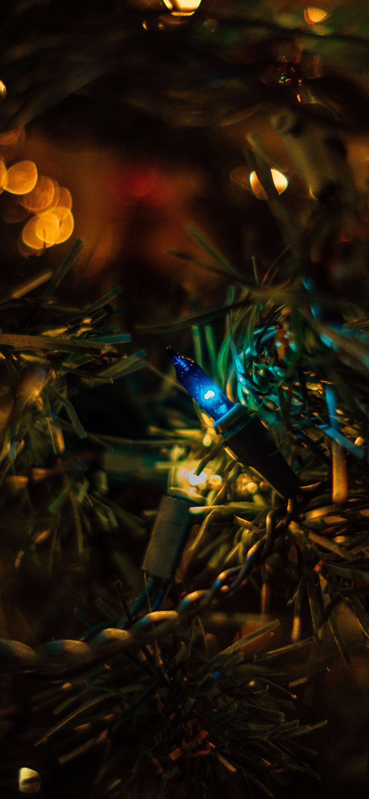 Обои темнота, боке, свет, дерево, ночь в разрешении 1242x2688