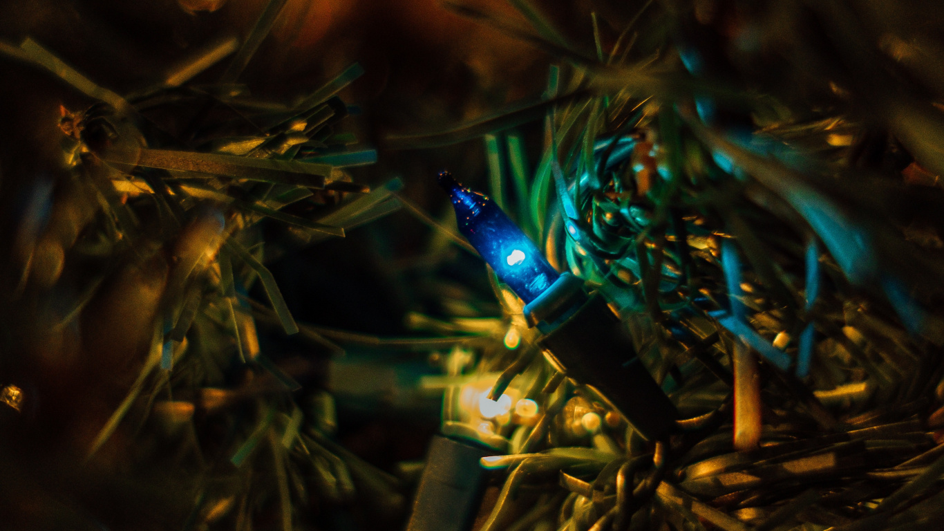 Обои темнота, боке, свет, дерево, ночь в разрешении 1366x768