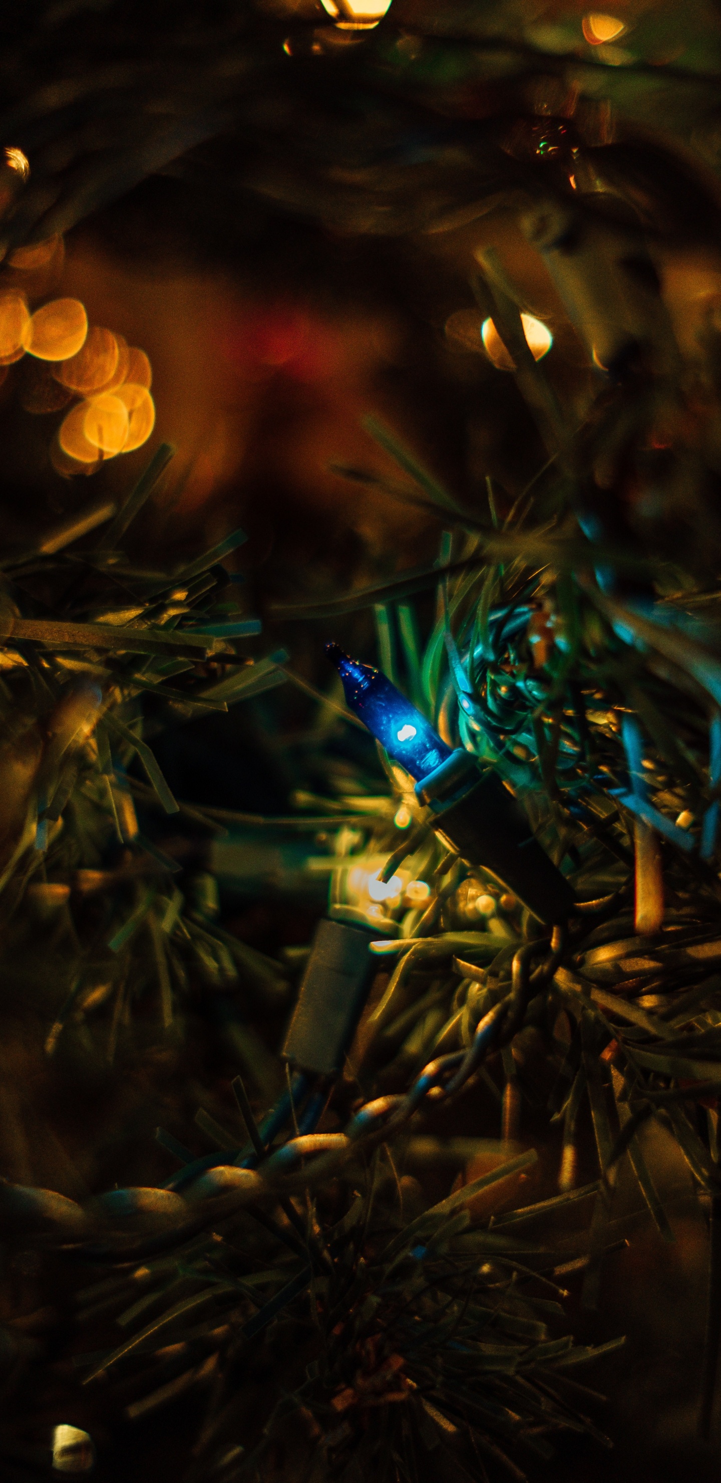 Обои темнота, боке, свет, дерево, ночь в разрешении 1440x2960