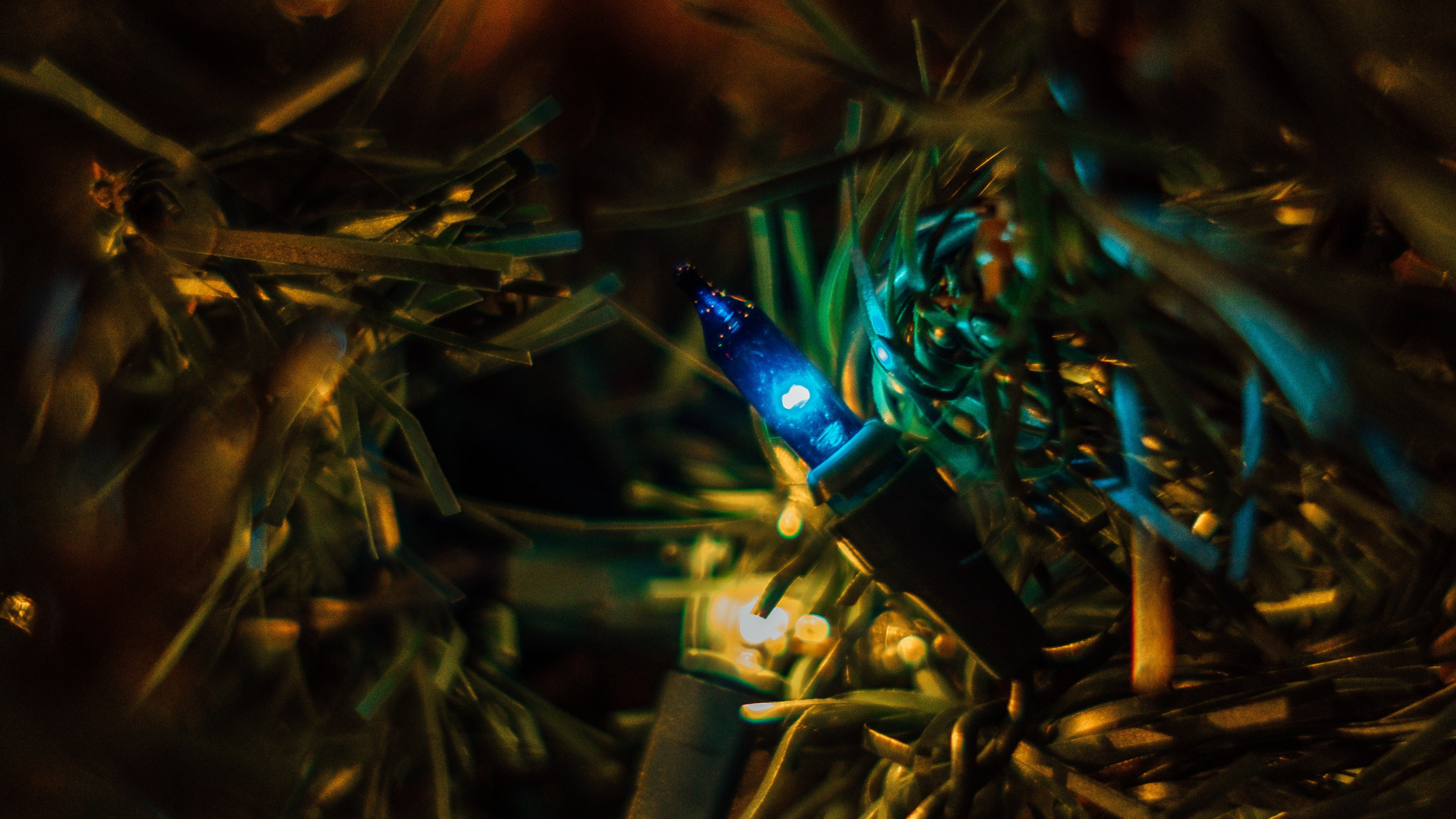 Обои темнота, боке, свет, дерево, ночь в разрешении 3840x2160