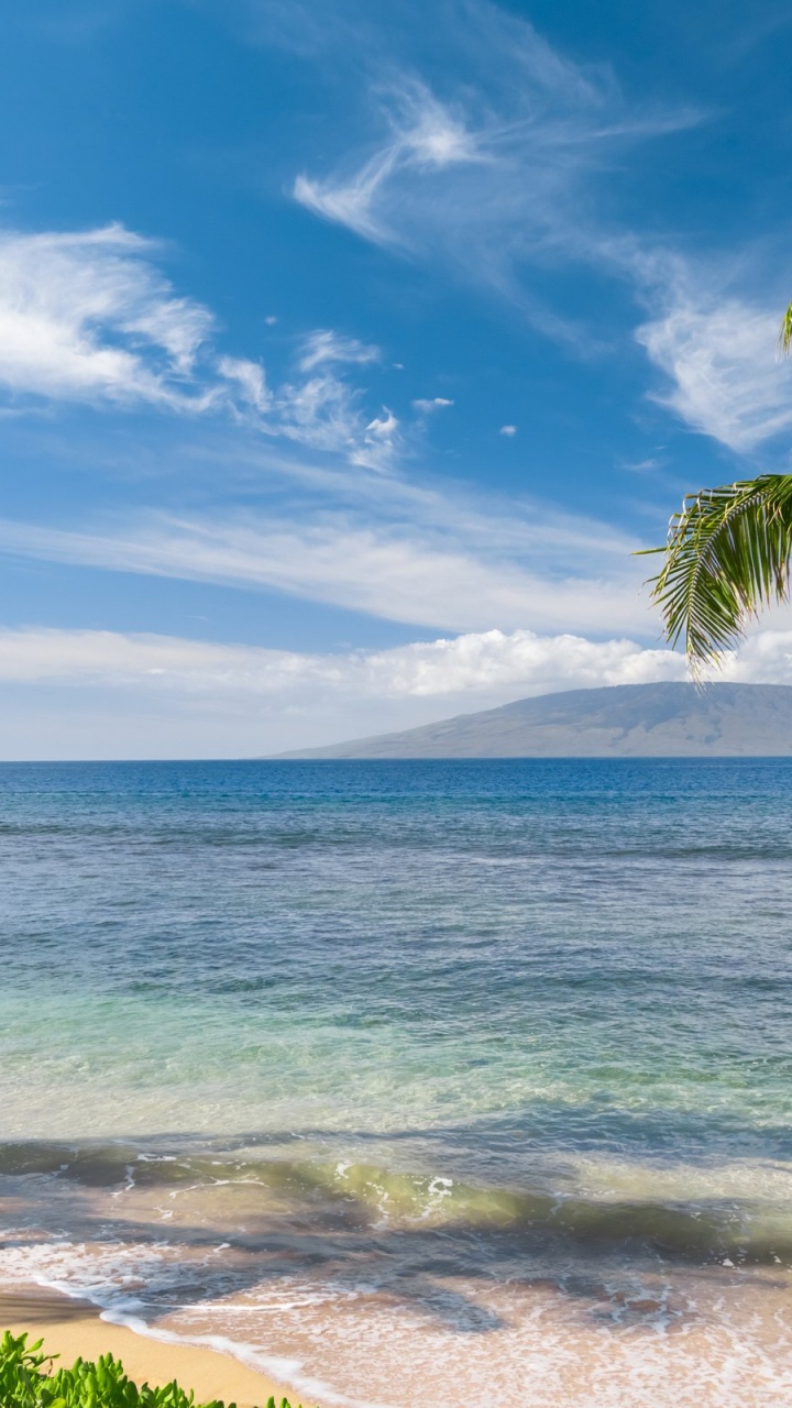 Обои пляж, тропическая зона, океан, море, берег в разрешении 720x1280