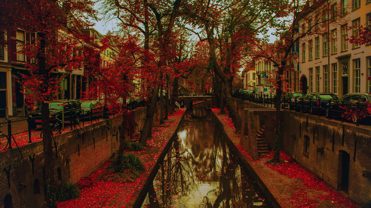 Обои Утрехт, водный путь, канал, отражение, дерево в разрешении 1280x720