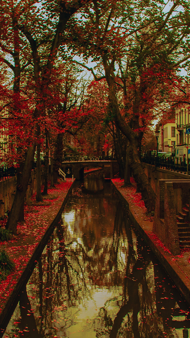 Обои Утрехт, водный путь, канал, отражение, дерево в разрешении 750x1334