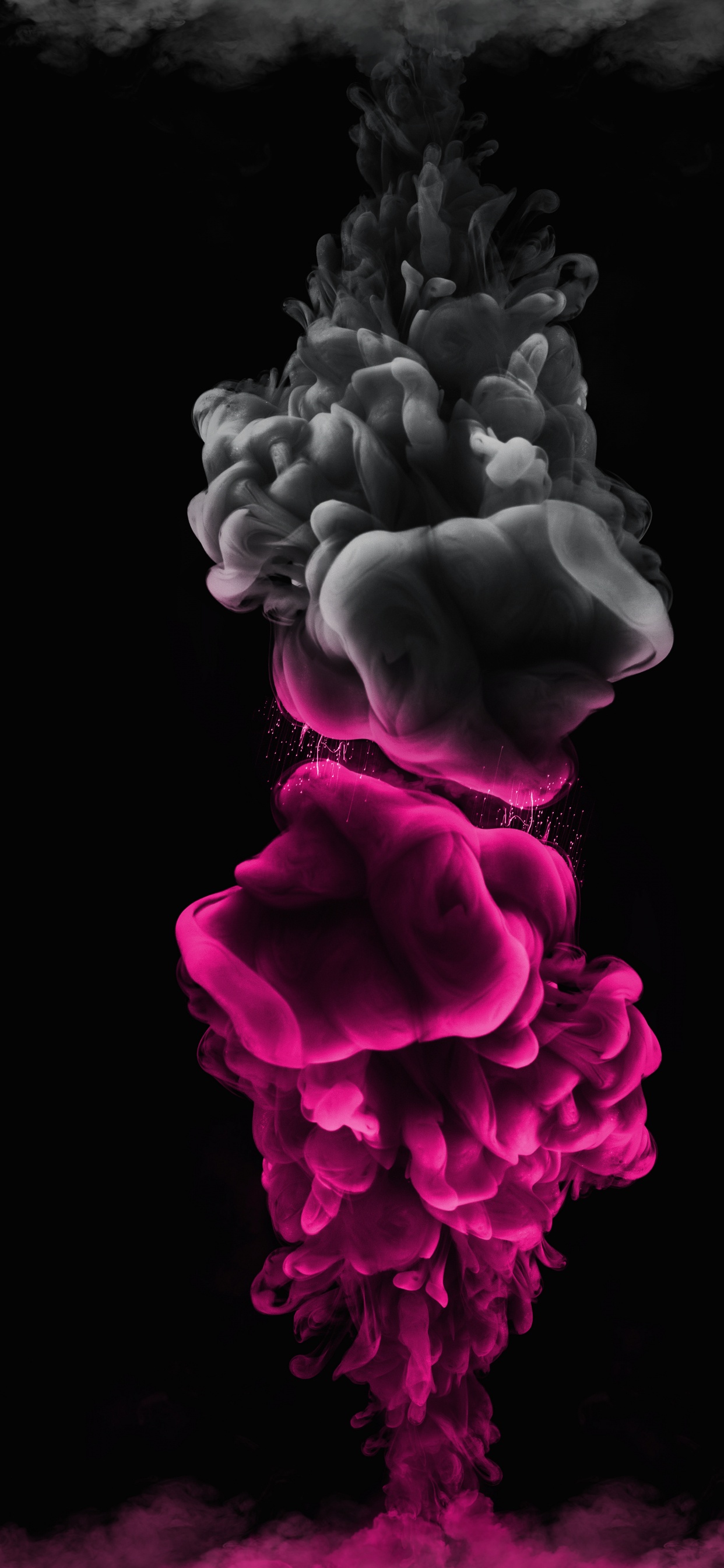 Обои черный, розовый, цветной, синий, пурпур в разрешении 1242x2688